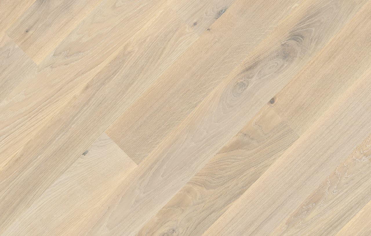 Dab Color Bianco_72dpi.jpg