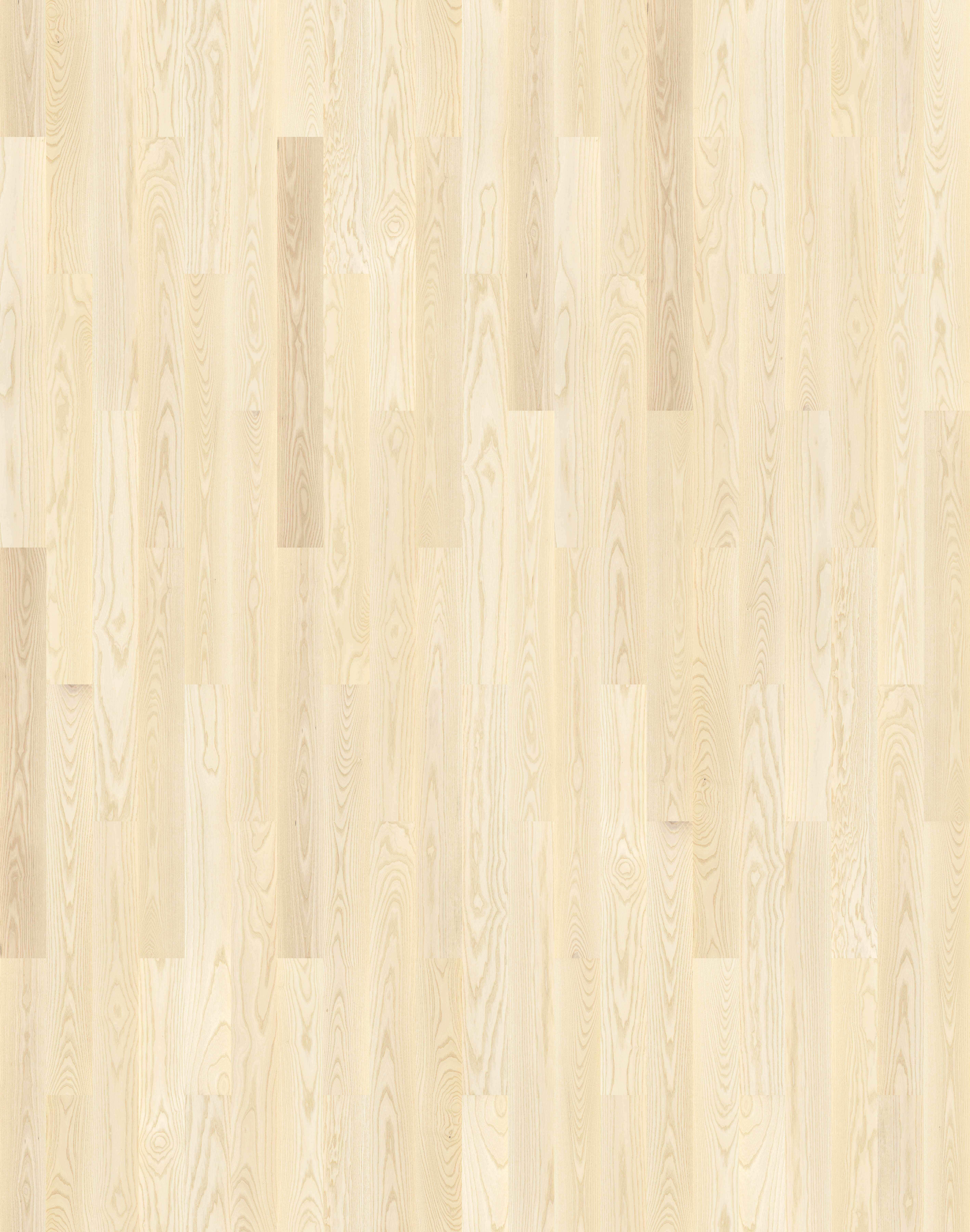 Jesion Elegance Bielony