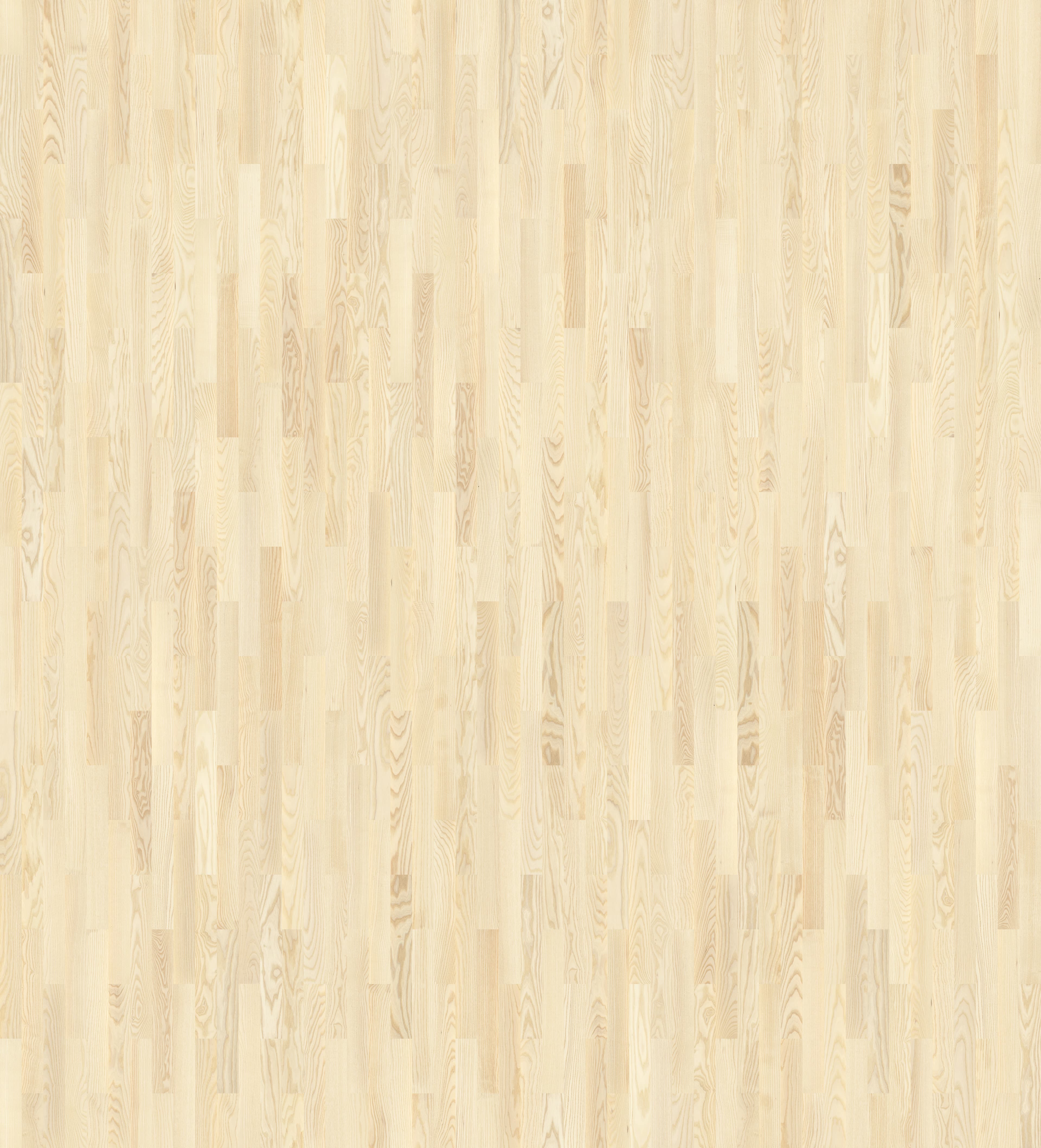 Jesion Elegance Bielony