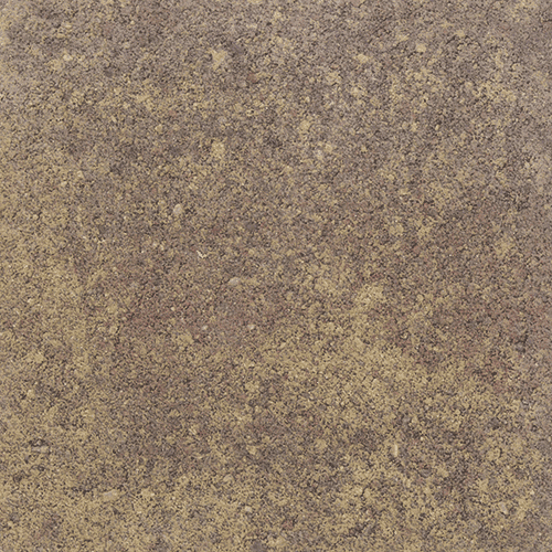 gladki barwy jesieni