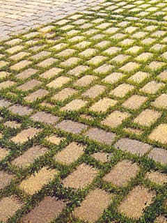 Polbruk Ekol