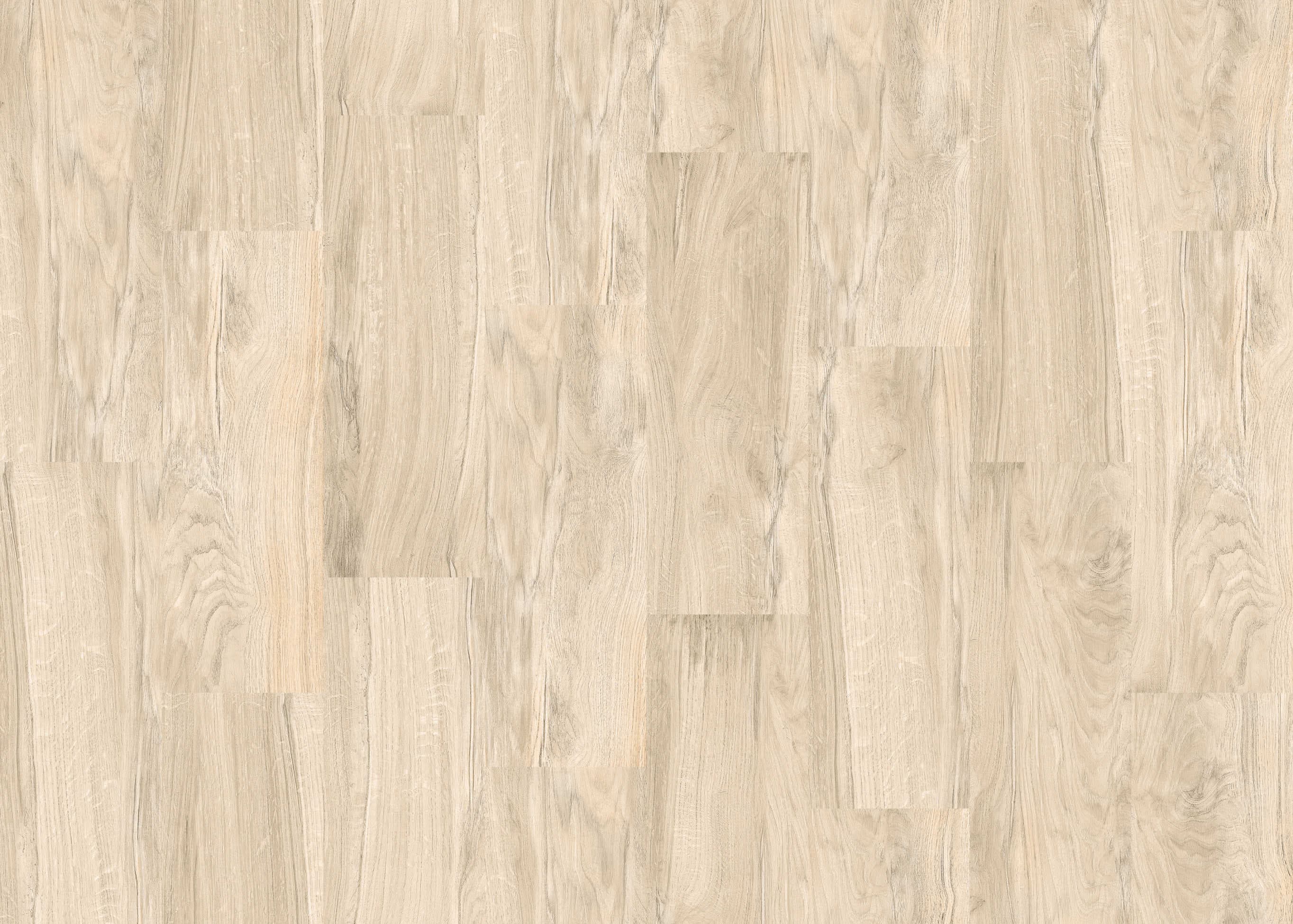 WOOD RUSTIC 60X20 płytki gresowe podłogowo/ścienne szkliwione, rektyfikowane 60x20 cm grupa bia