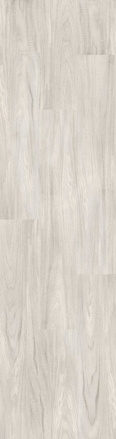 Orlando Light Grey 60x240