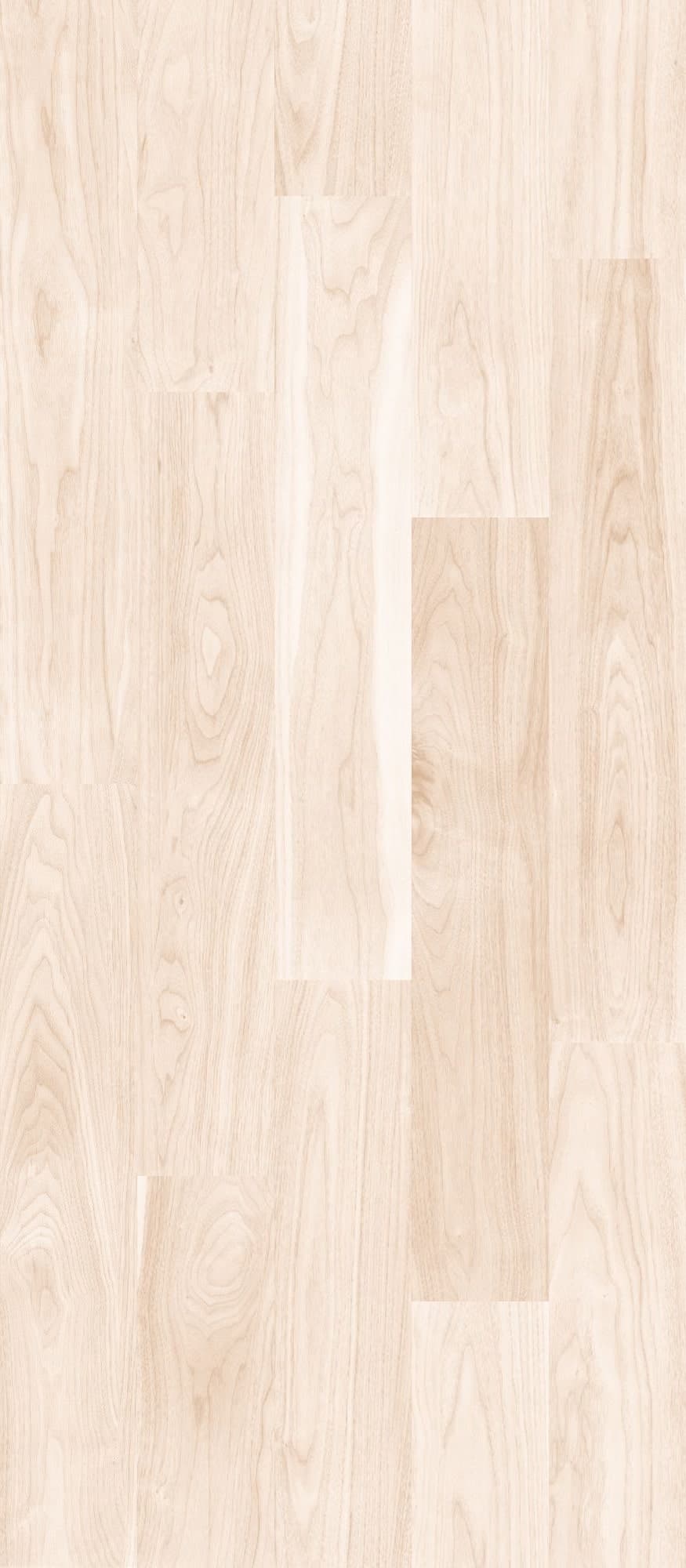 Las Vegas Crema 100x240