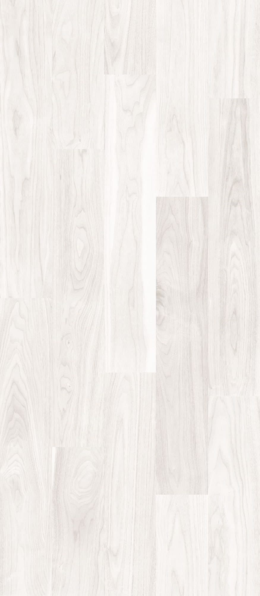 Las Vegas Grey 100x240