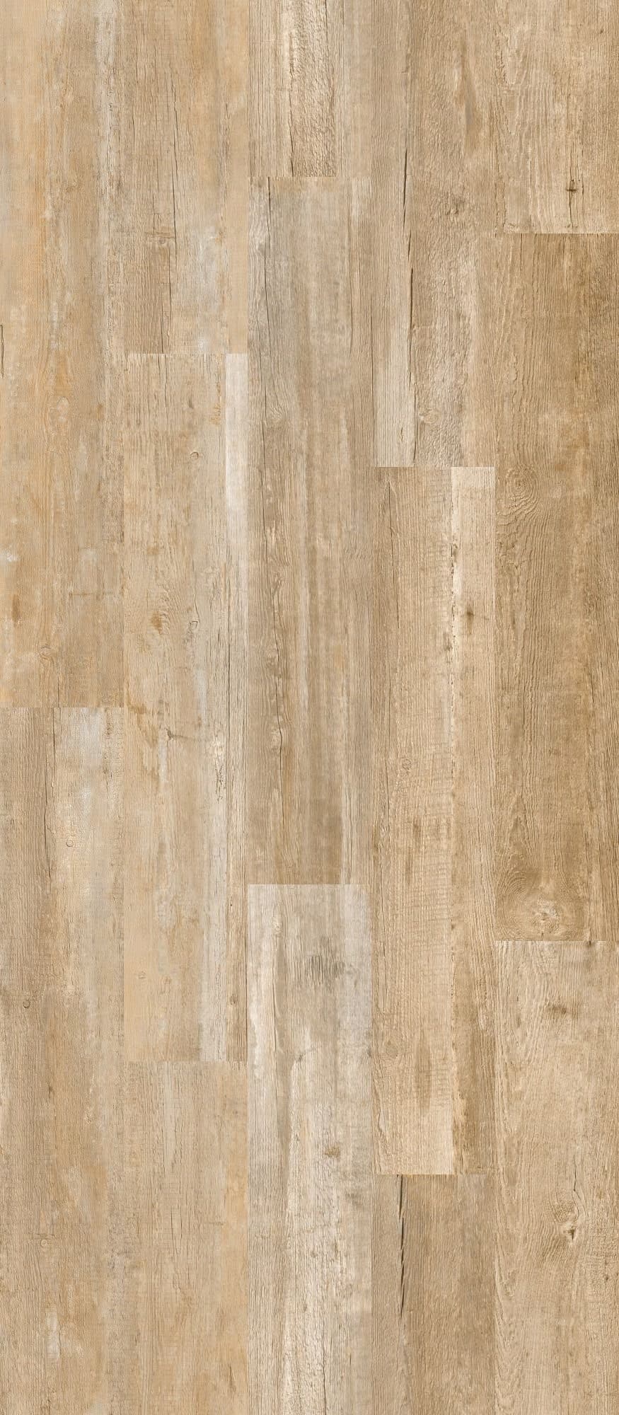 Dallas Beige 100x240