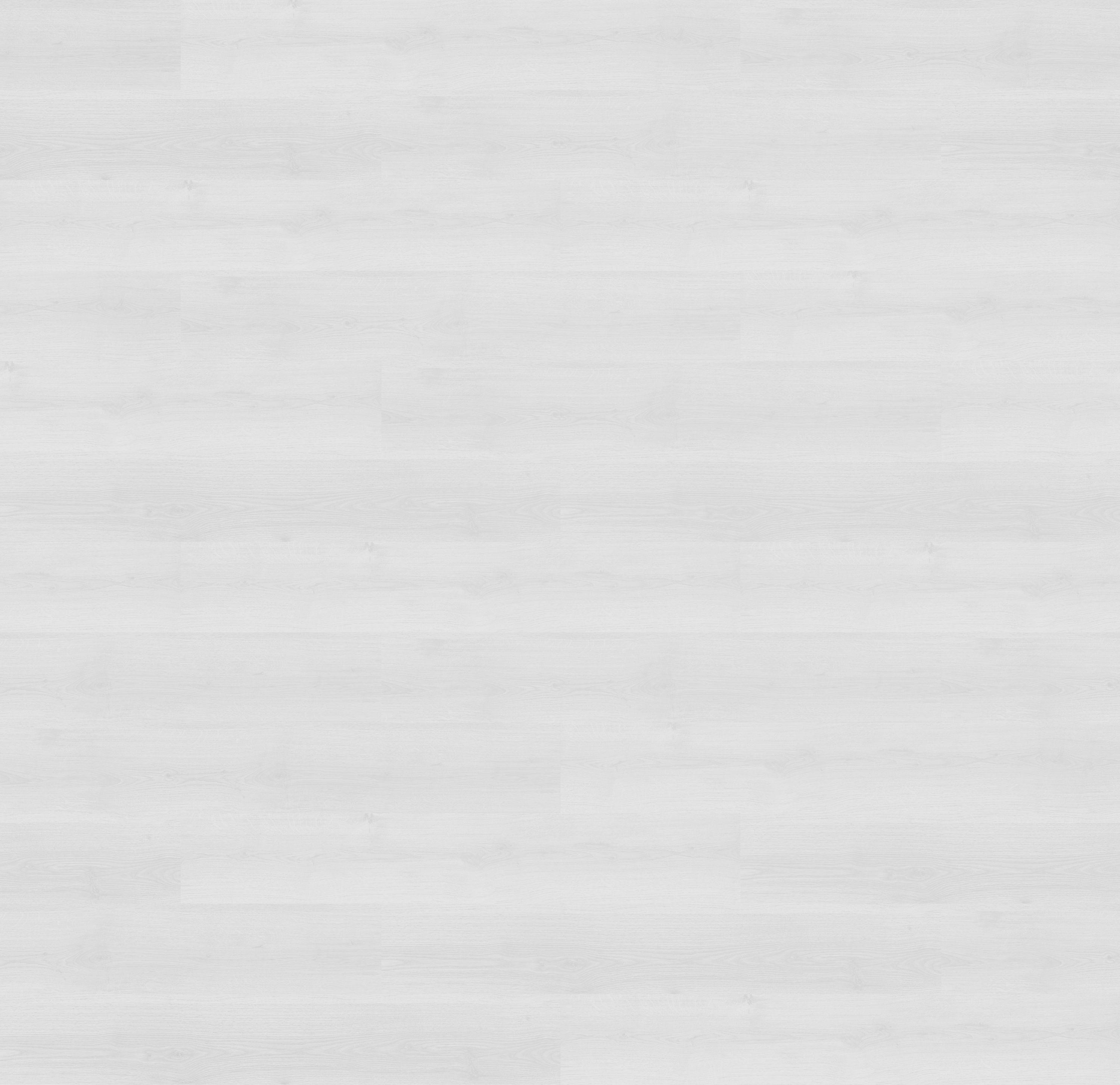 62001359 - DĄB BIAŁY reflect