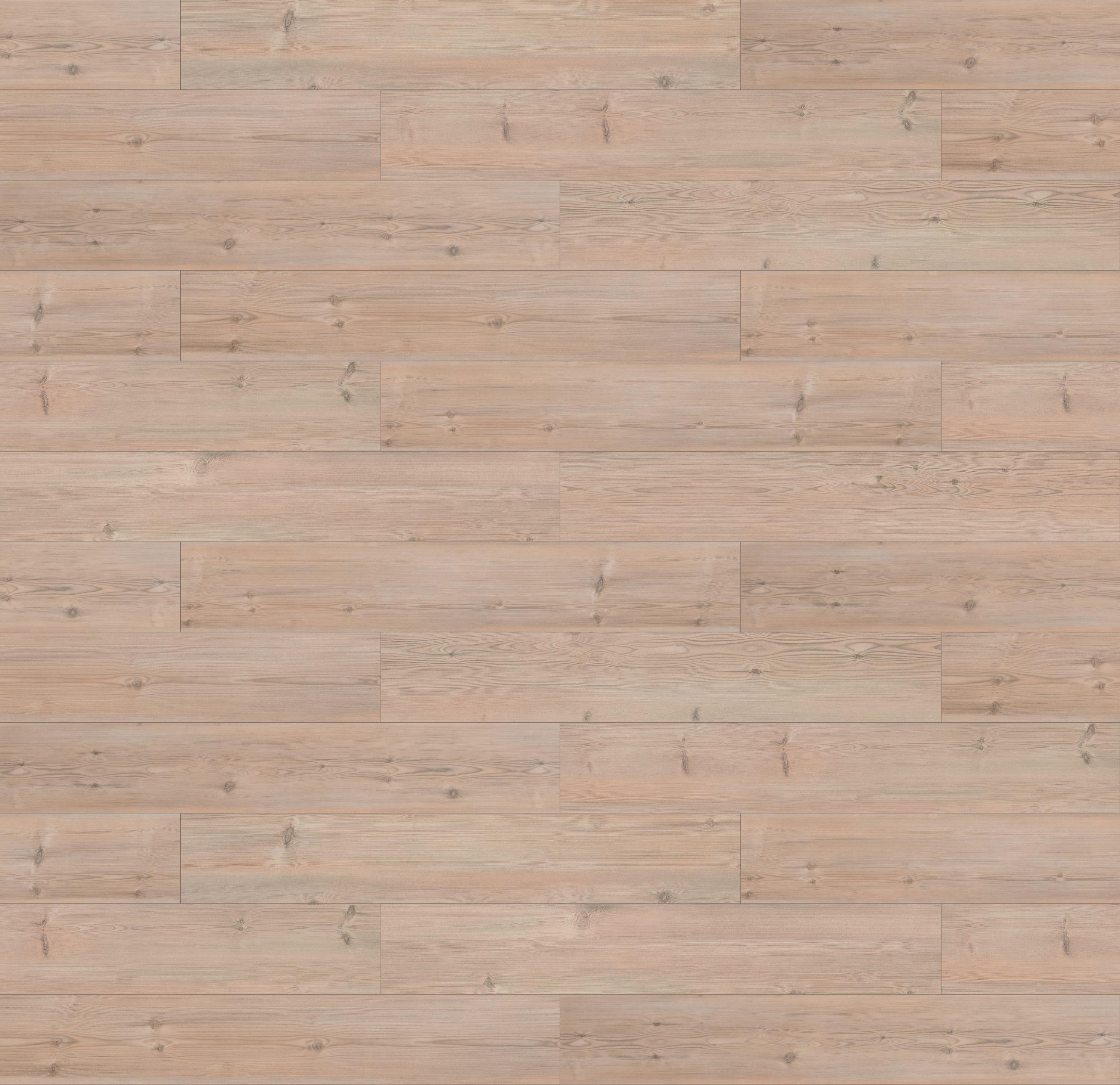 62001354 - SOSNA BIAŁA kolor