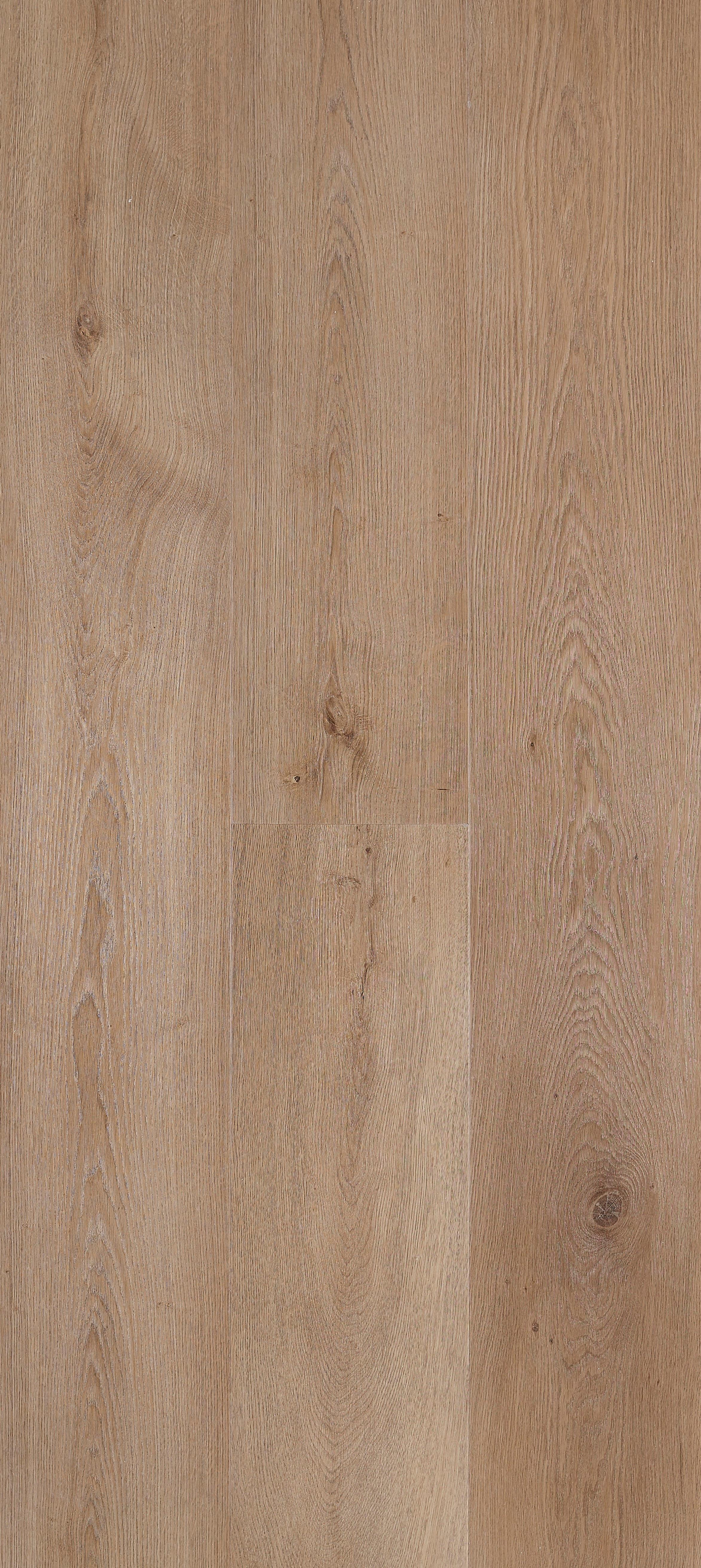 Inca-PSH 60001449-Inca