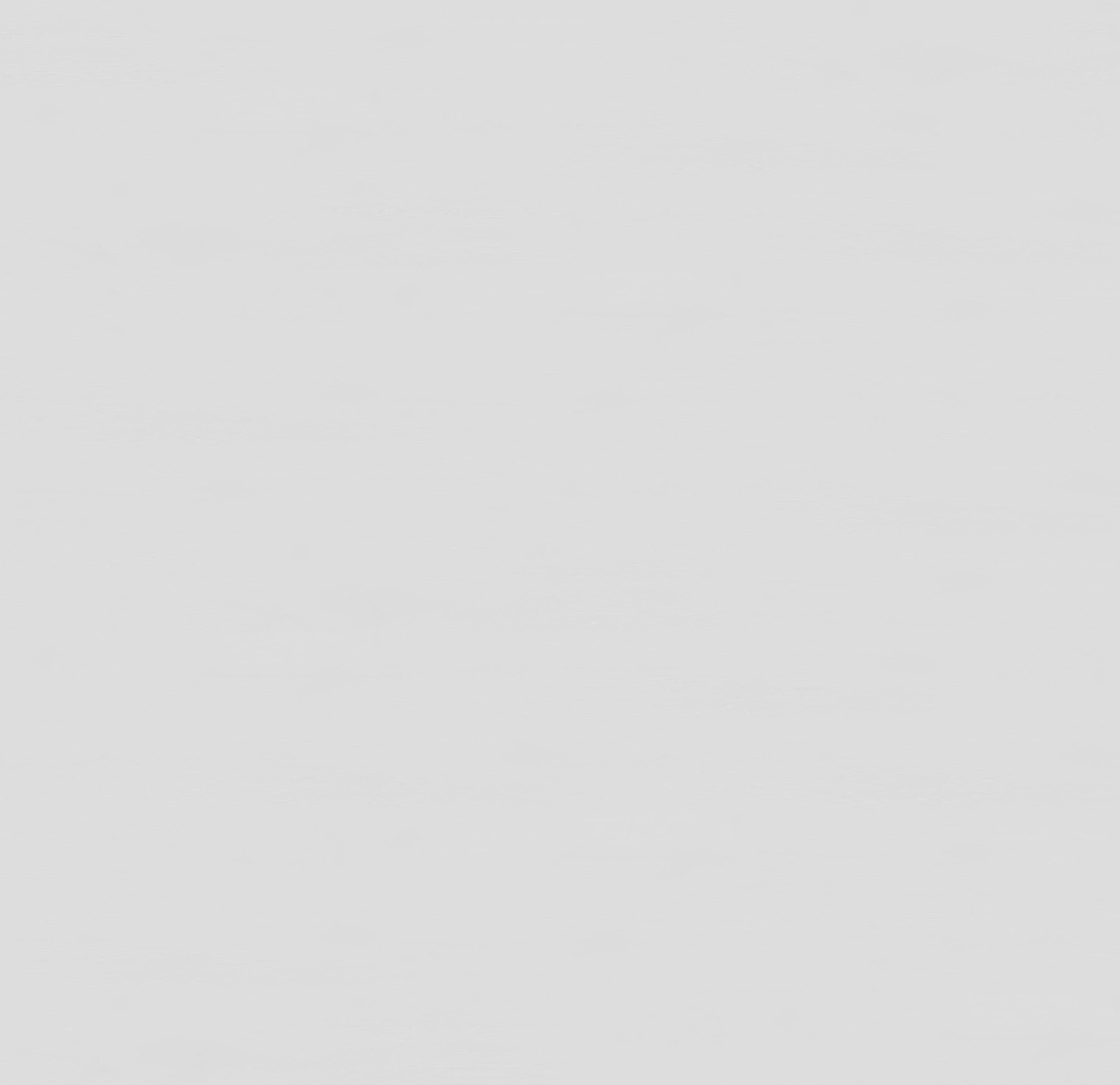 62002011 - DĄB JACINTA reflect