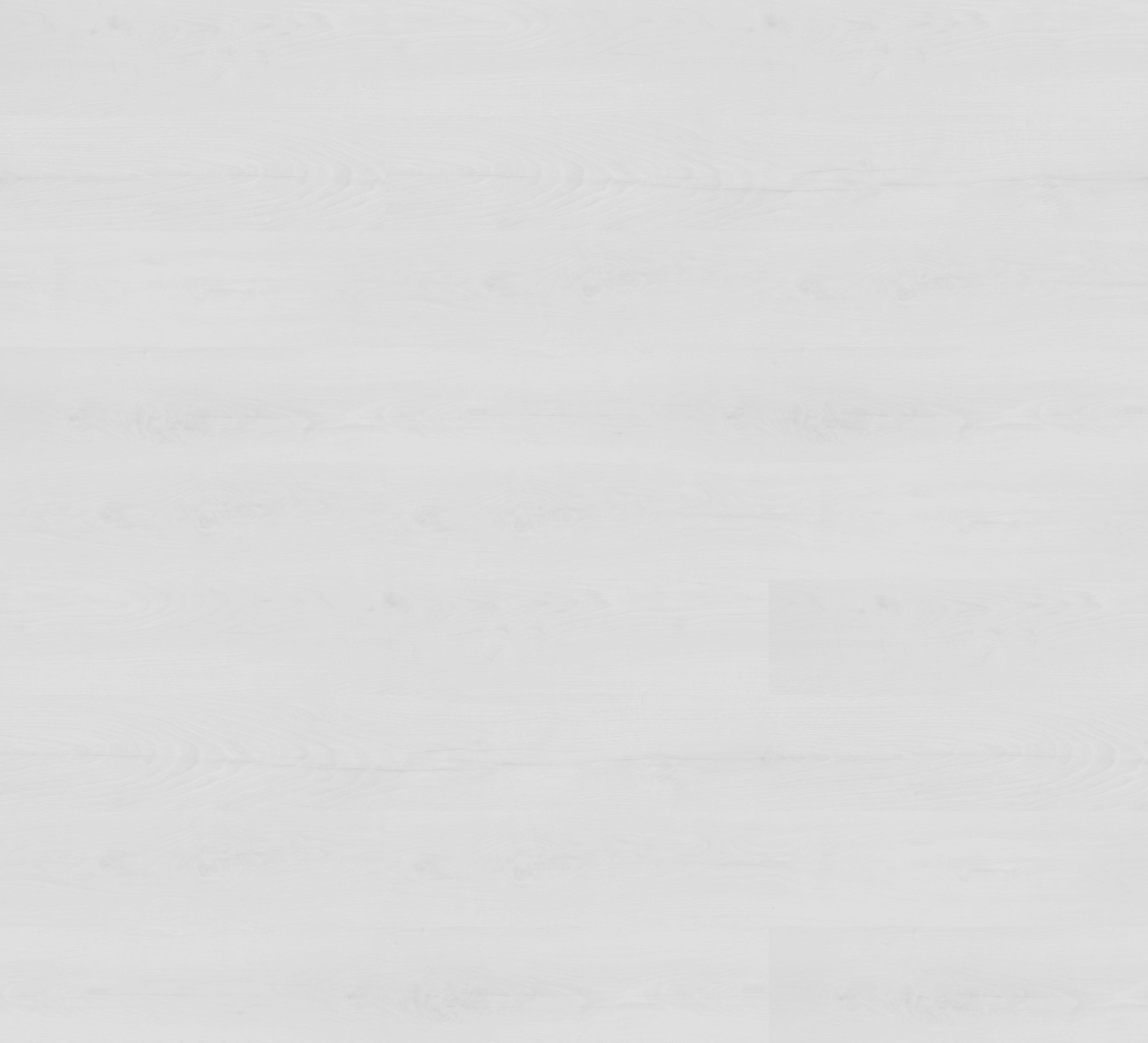 62000566 - RODEO DRIVE reflect