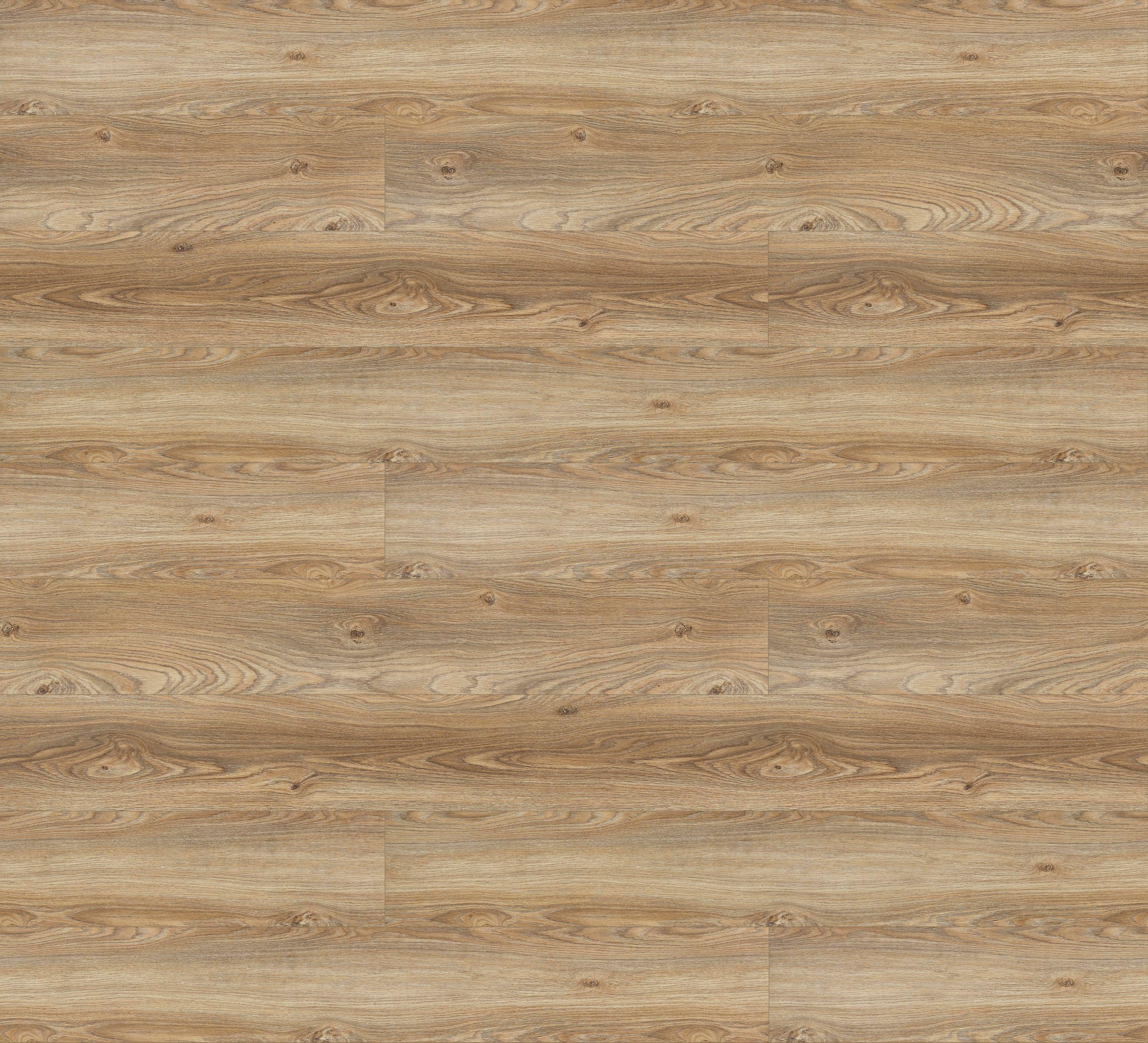 62000562 - KU_DAMM kolor