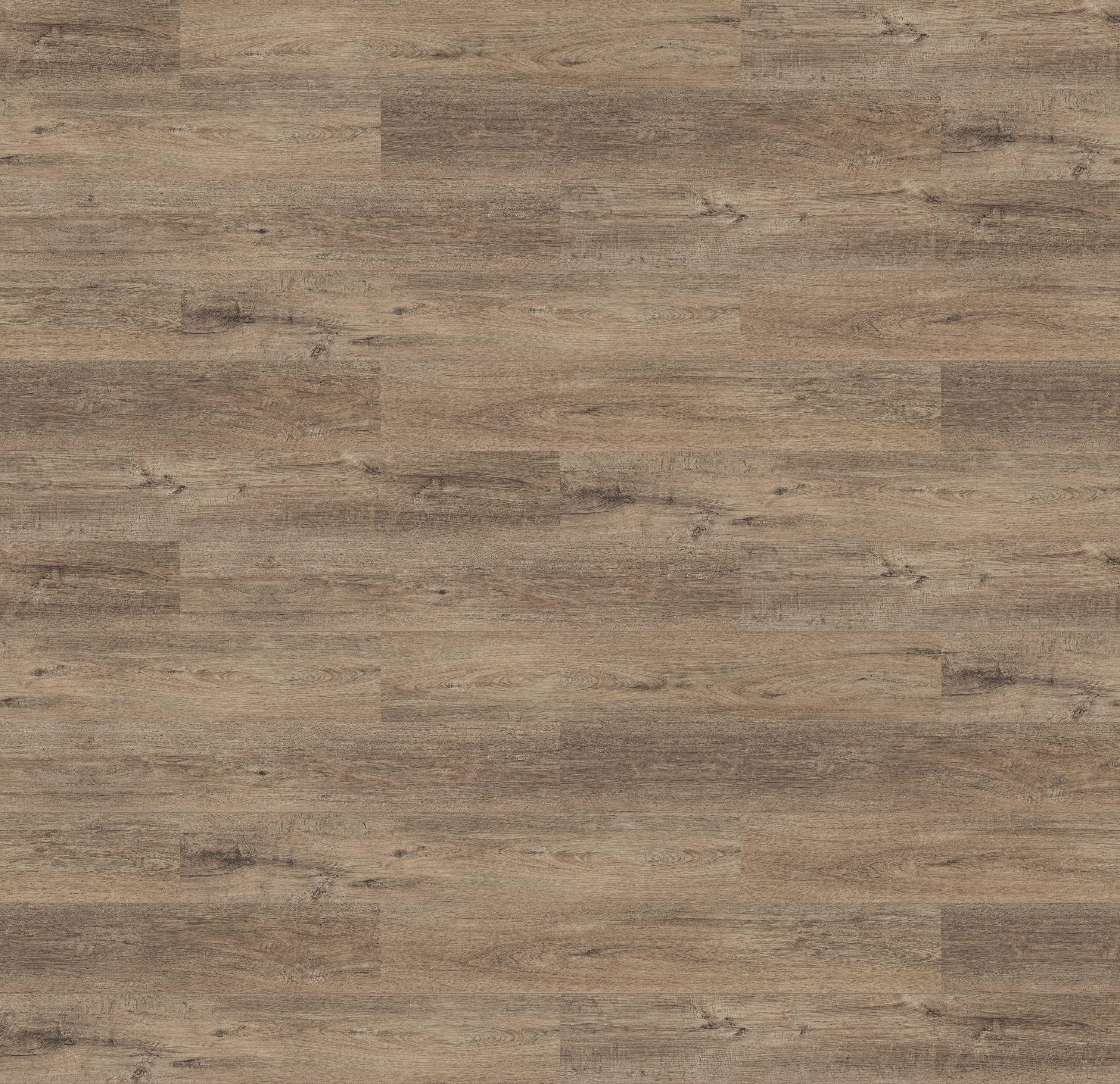 62001380 - DAB BOND kolor