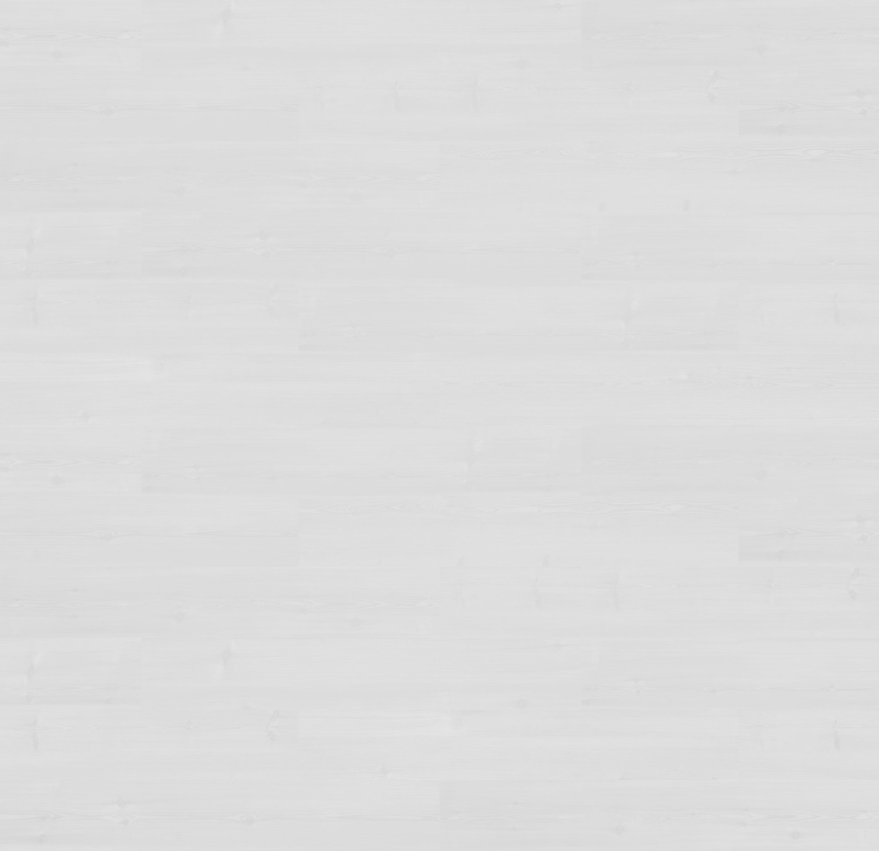 62001354 - SOSNA BIAŁA reflect