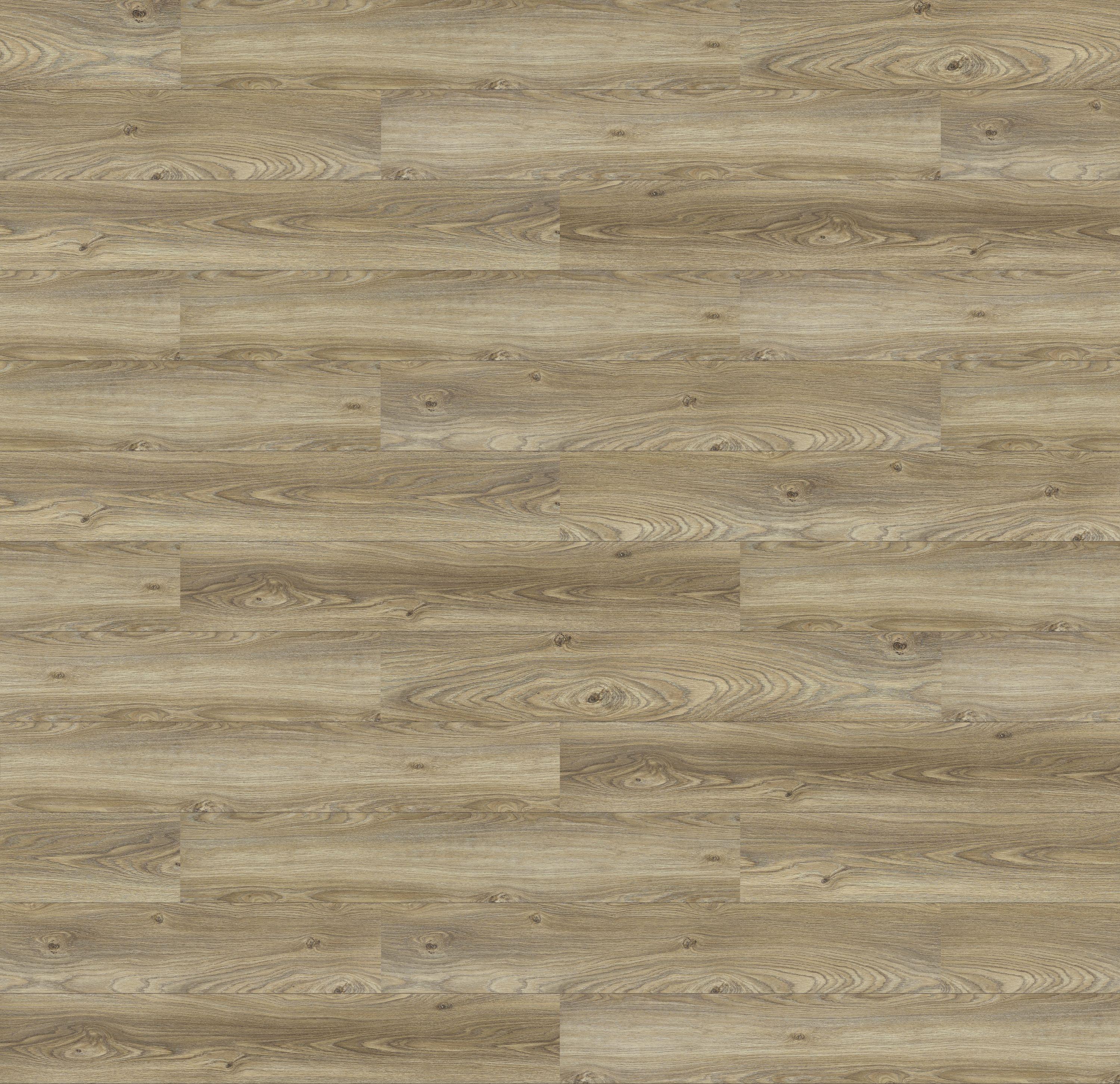 62001420 - DĄB BERLIN kolor