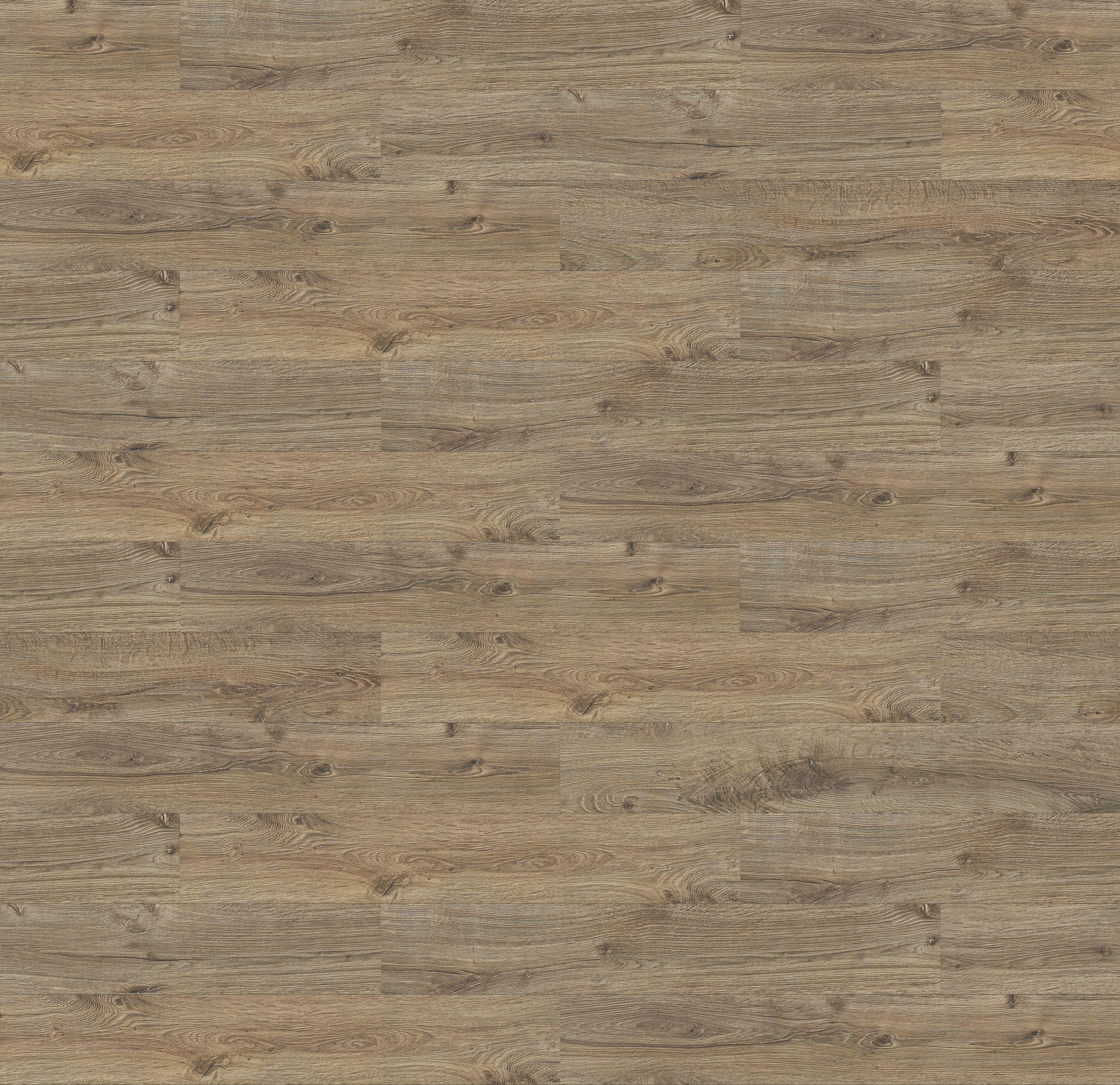 62001382 - DĄB OSLO kolor