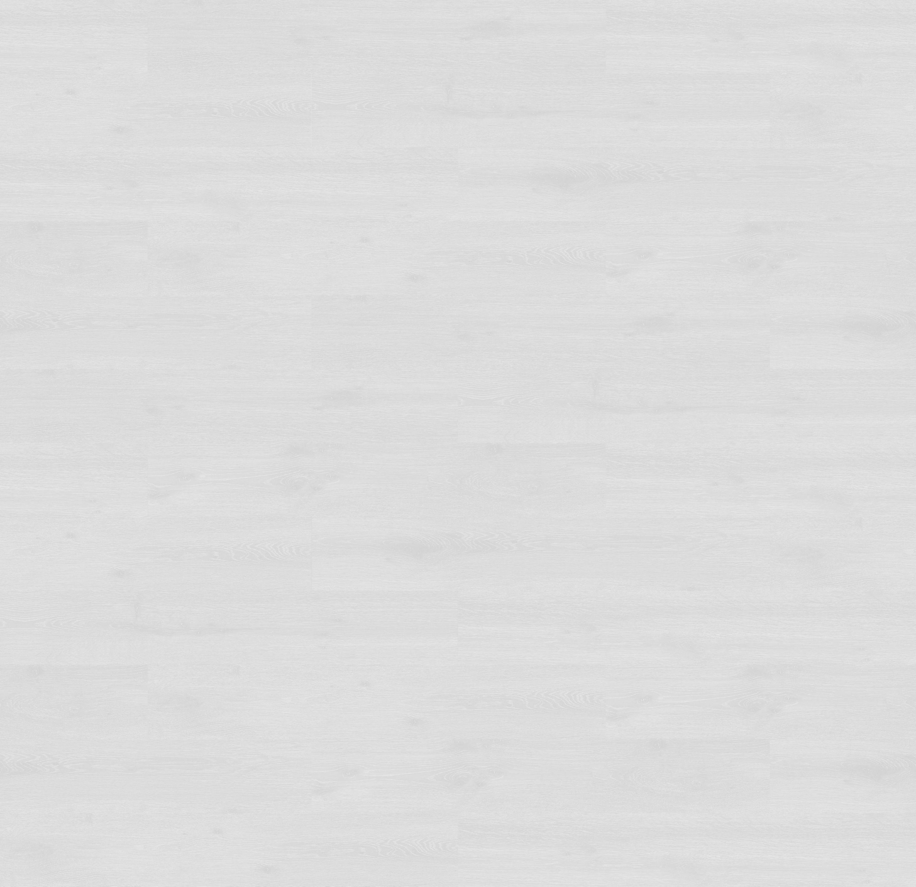 62002009 - DĄB ANEGADA reflect