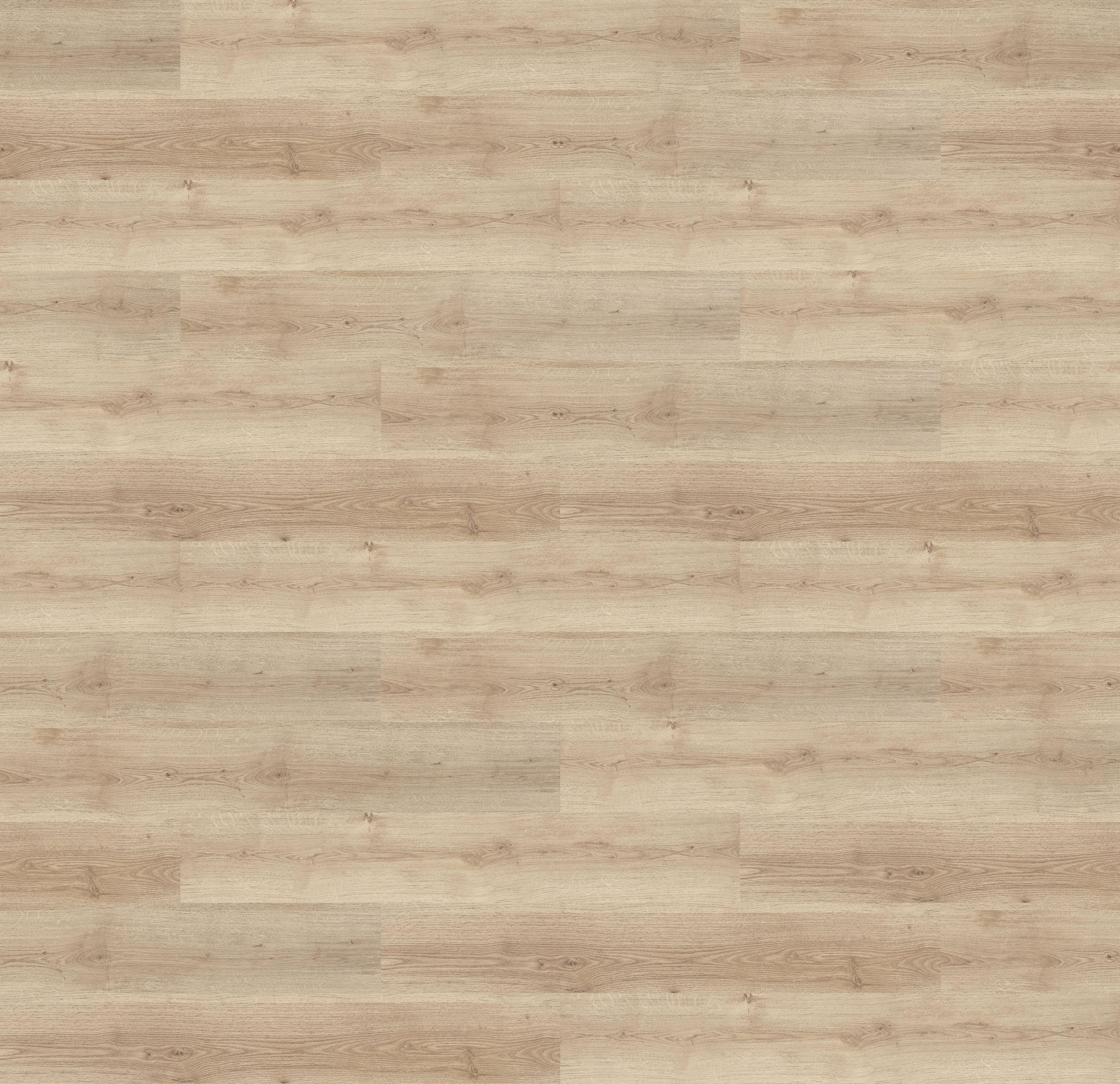 62001359 - DĄB BIAŁY kolor