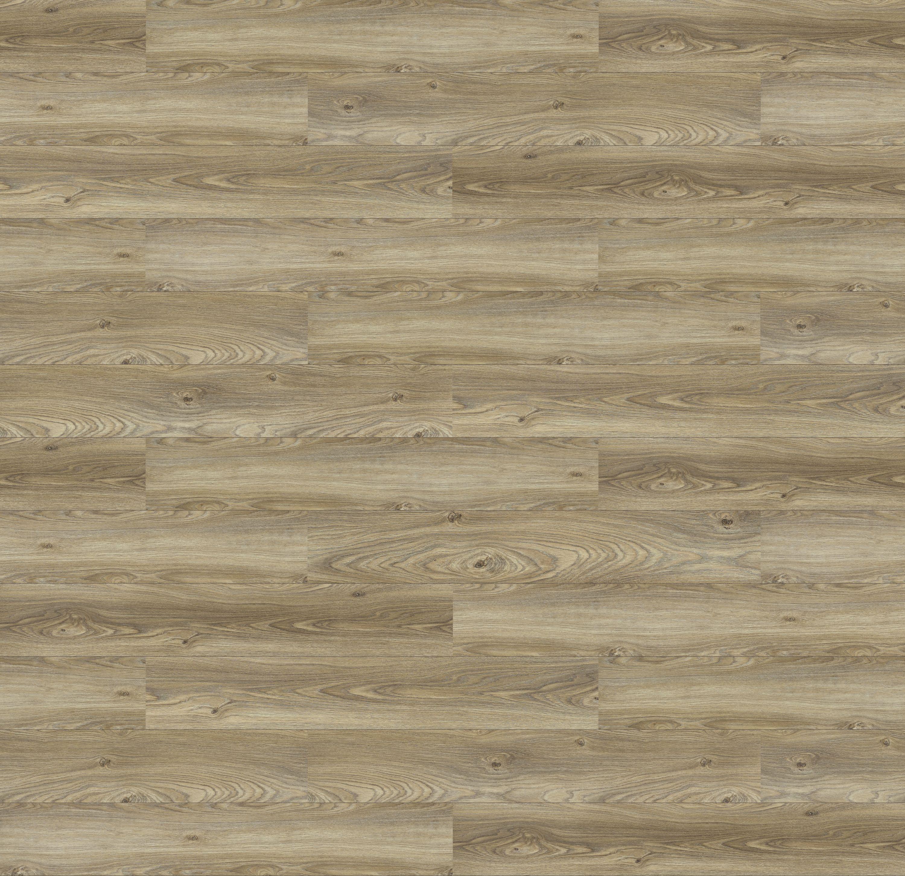 62001358 - DĄB KANION JASNY kolor