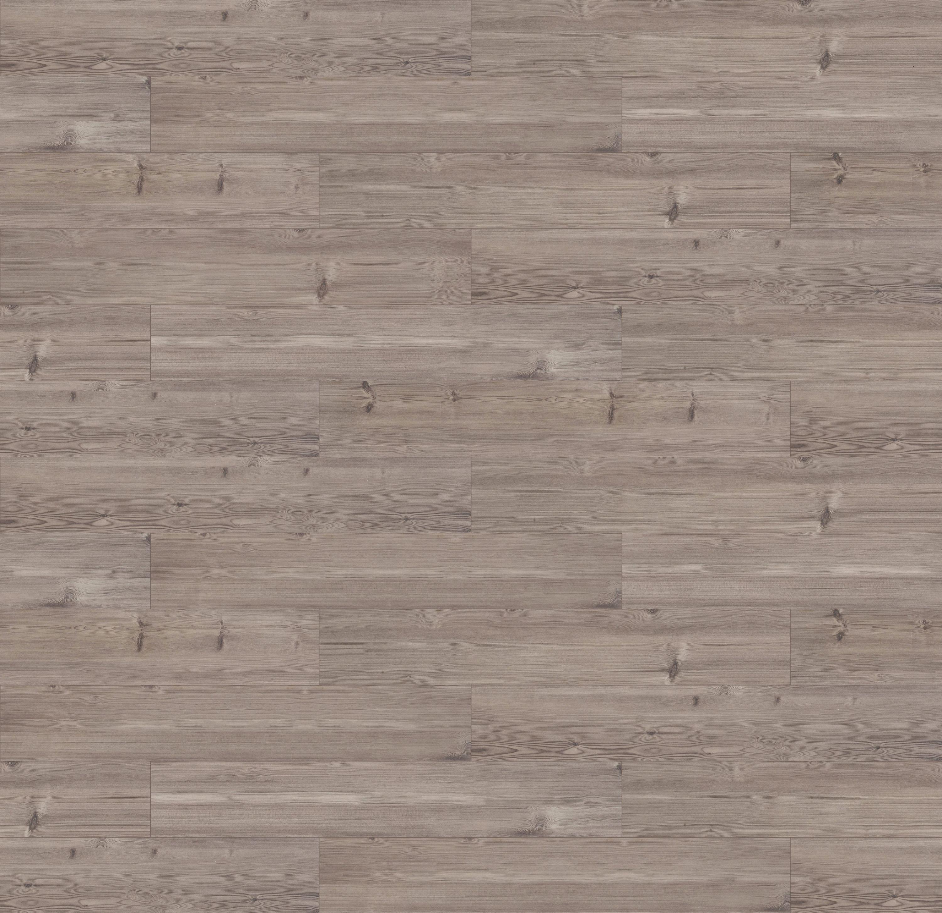 62001387 - SOSNA CASTILLO kolor