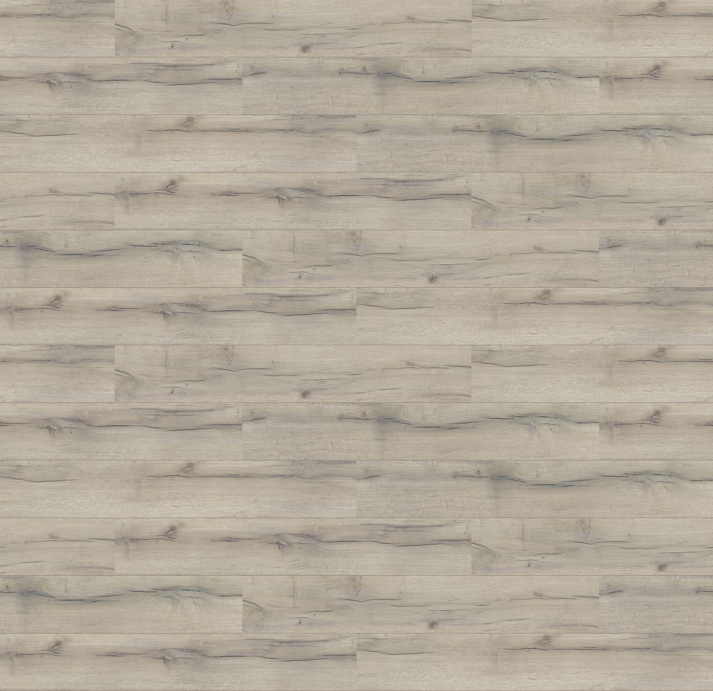 62001357 - DĄB WIOSENNY kolor