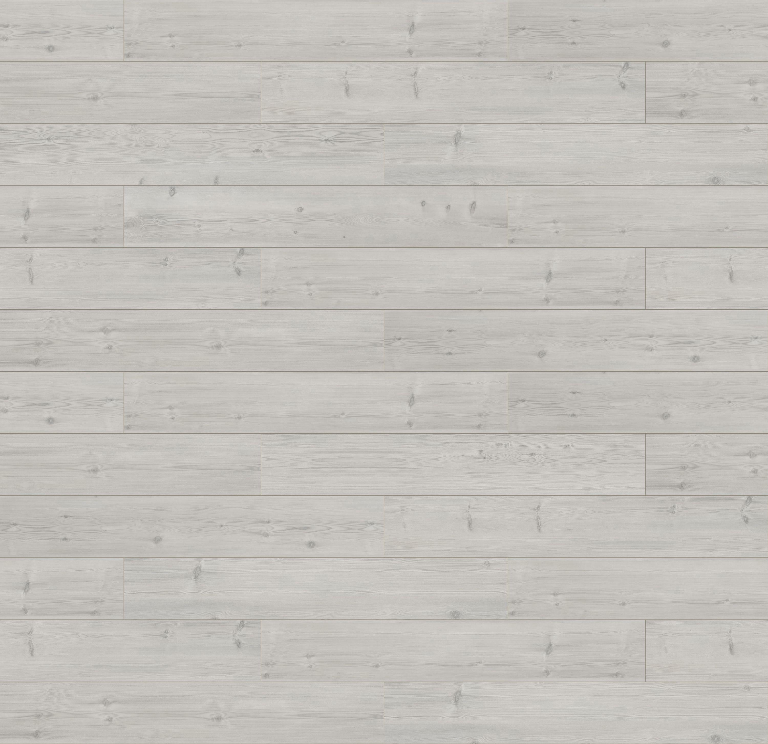 62001383 - SOSNA ROCCA DI PAPA kolor