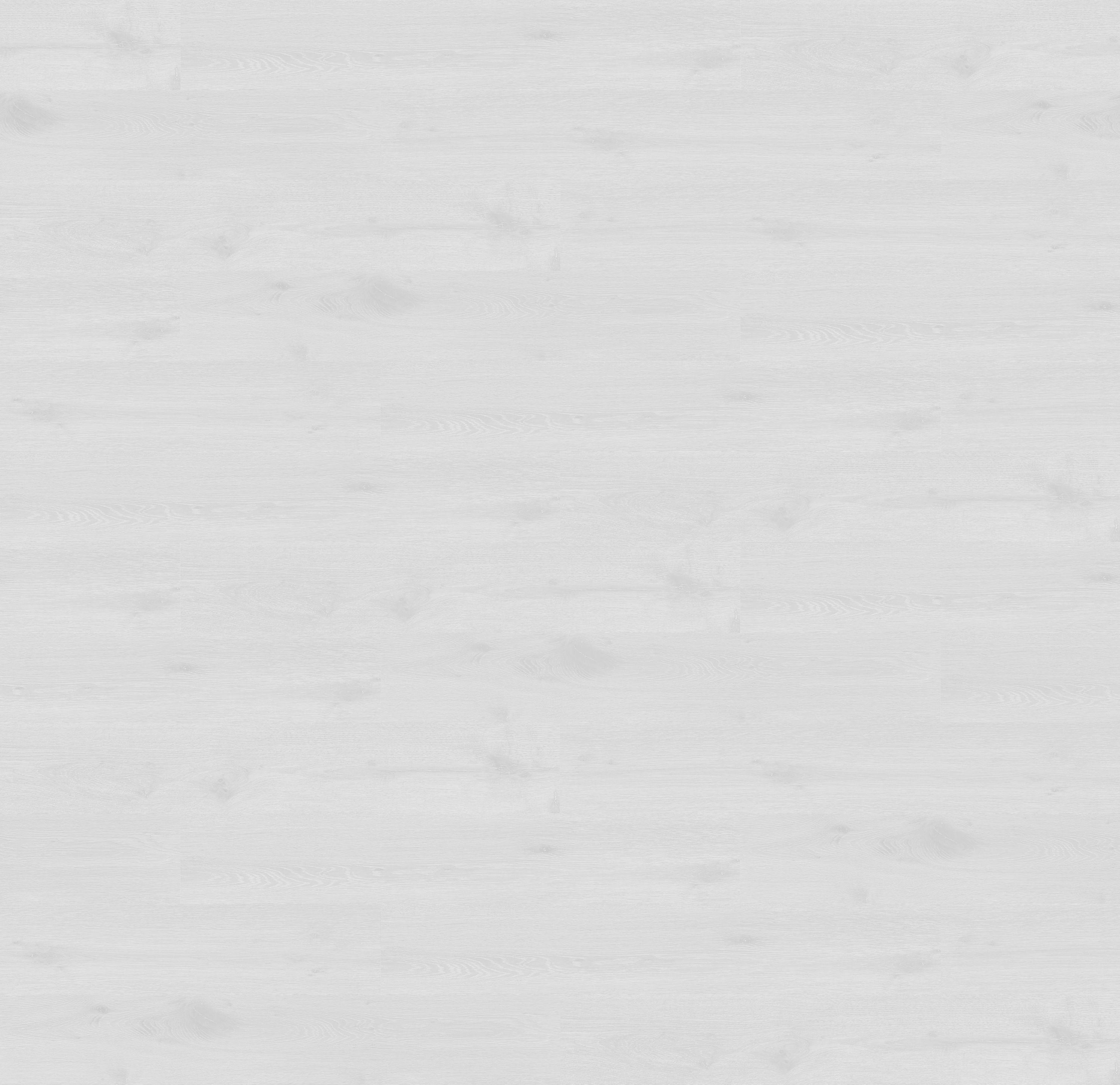 62002006 - DĄB BEVERLY reflect