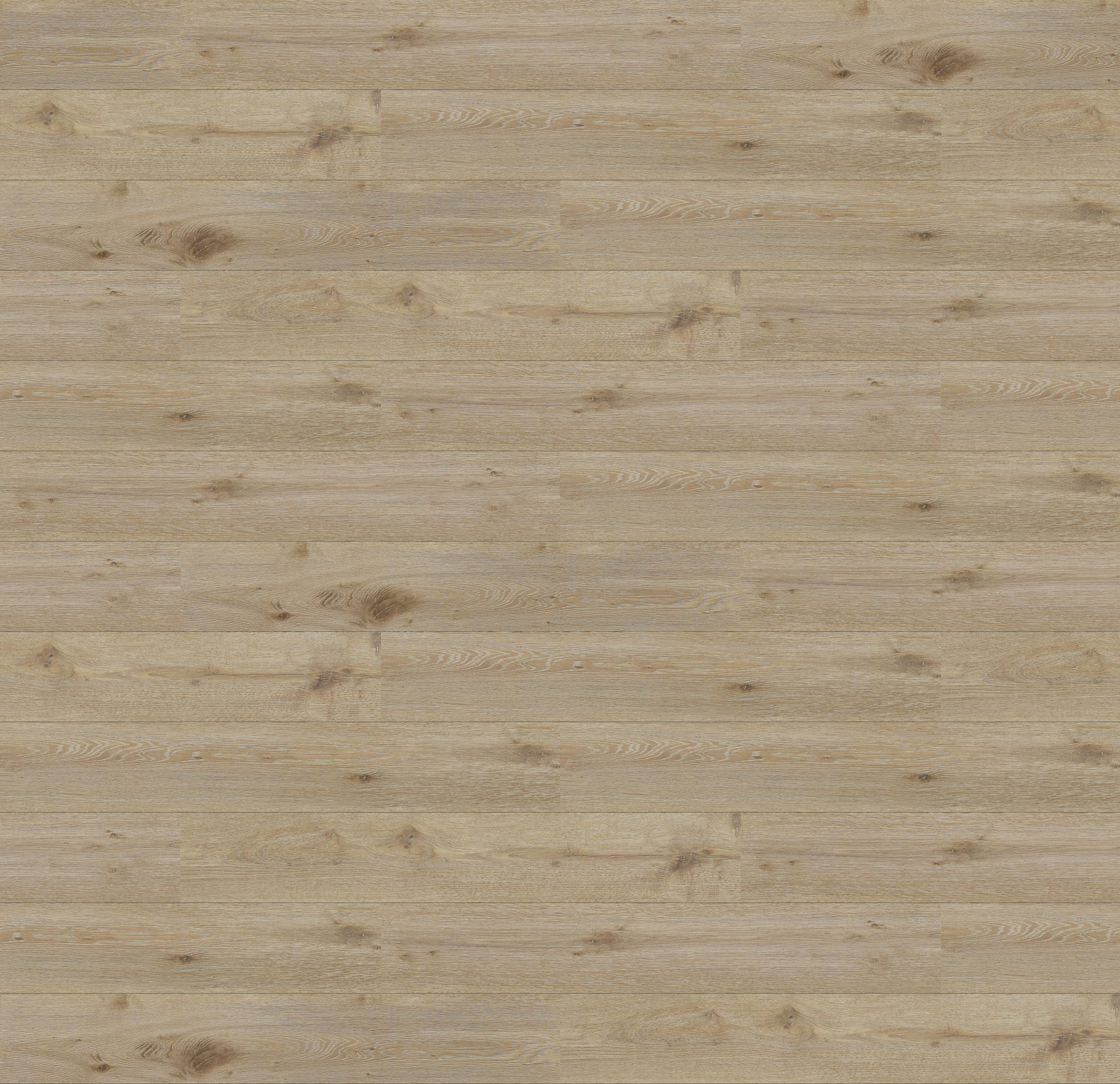 62002011 - DĄB JACINTA kolor