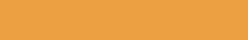 AMBER GLASS