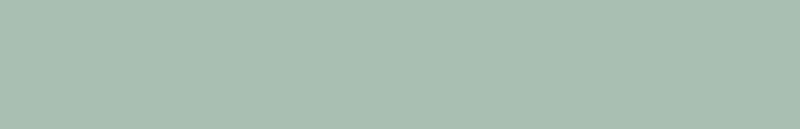 MONTANA 005