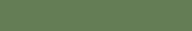 SUMATRA 006
