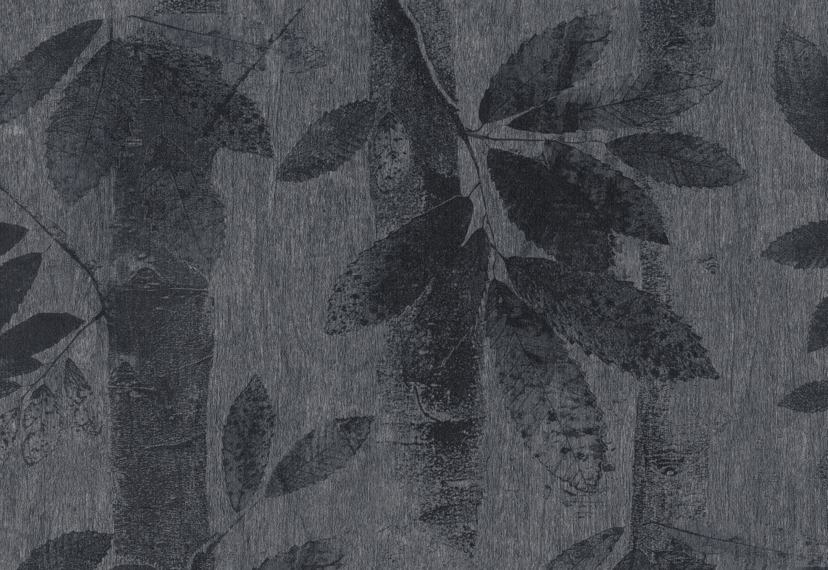 Liquorice_10319