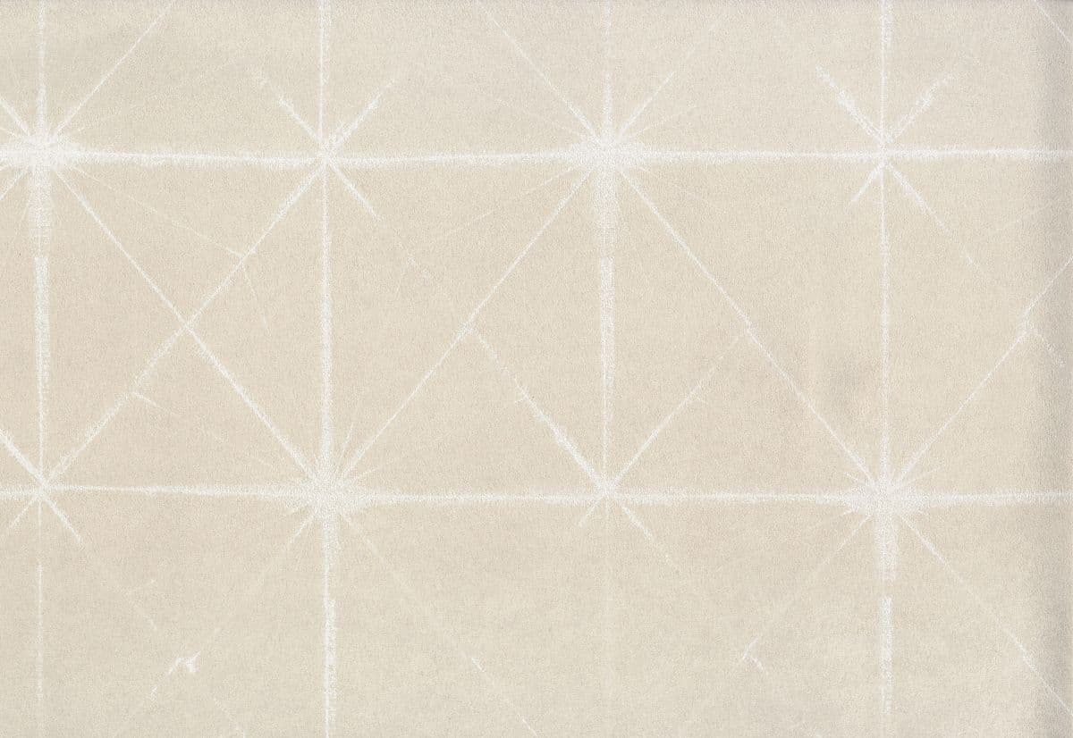 Fuji, Asami (10058)