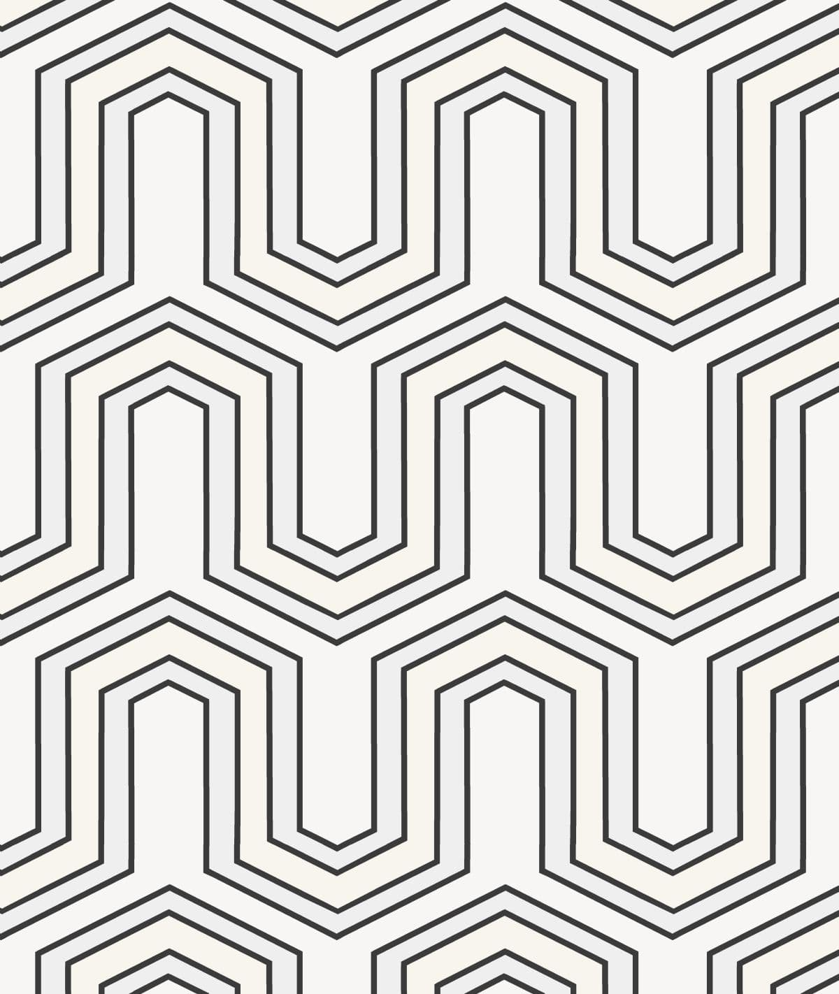12019 - Geo  Vector