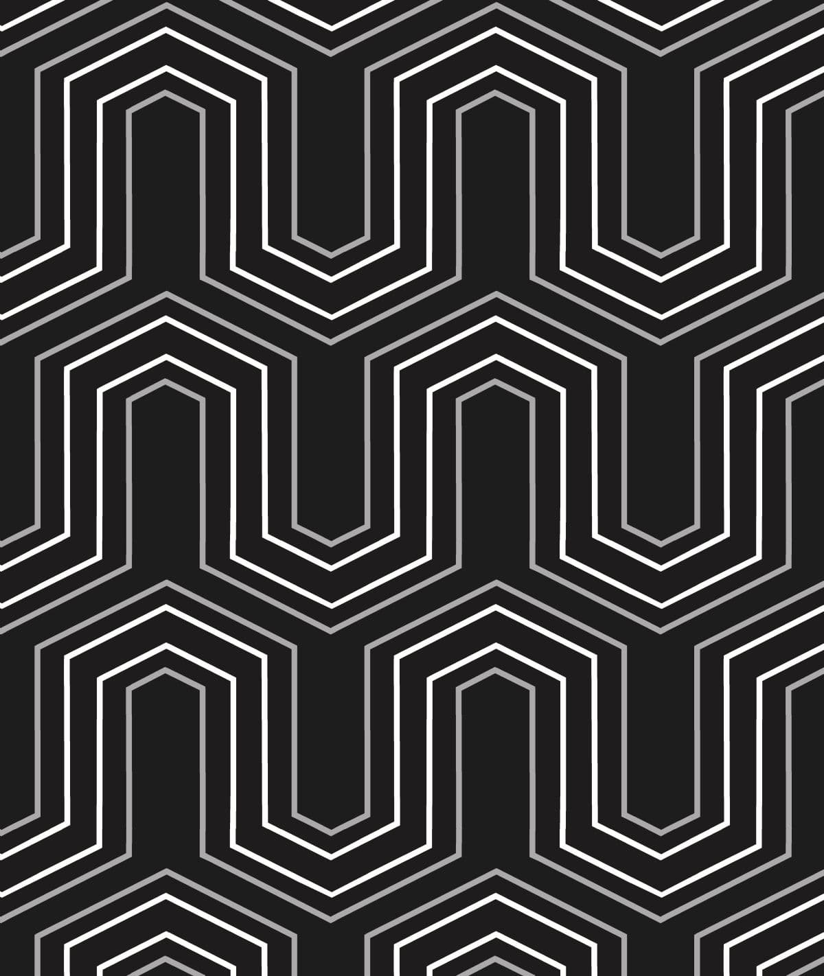 12017 - Geo  Vector