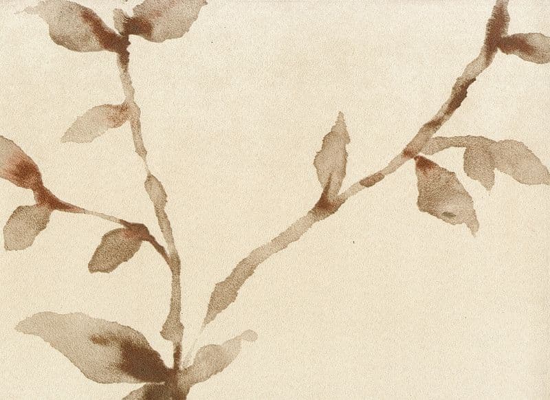 LTD00504 Sample - Juno 10455