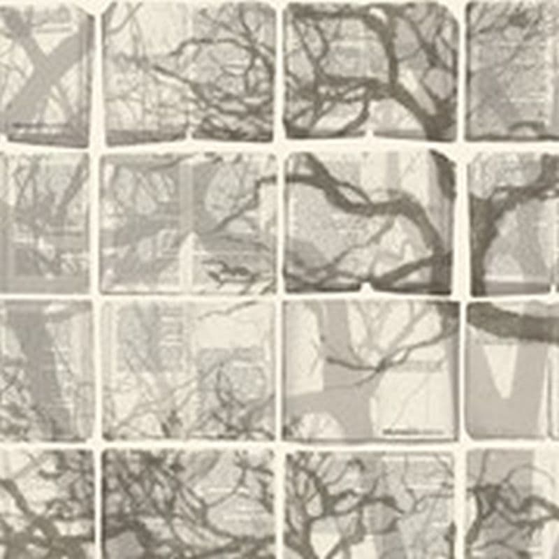 1LTD00970 scan 180x180
