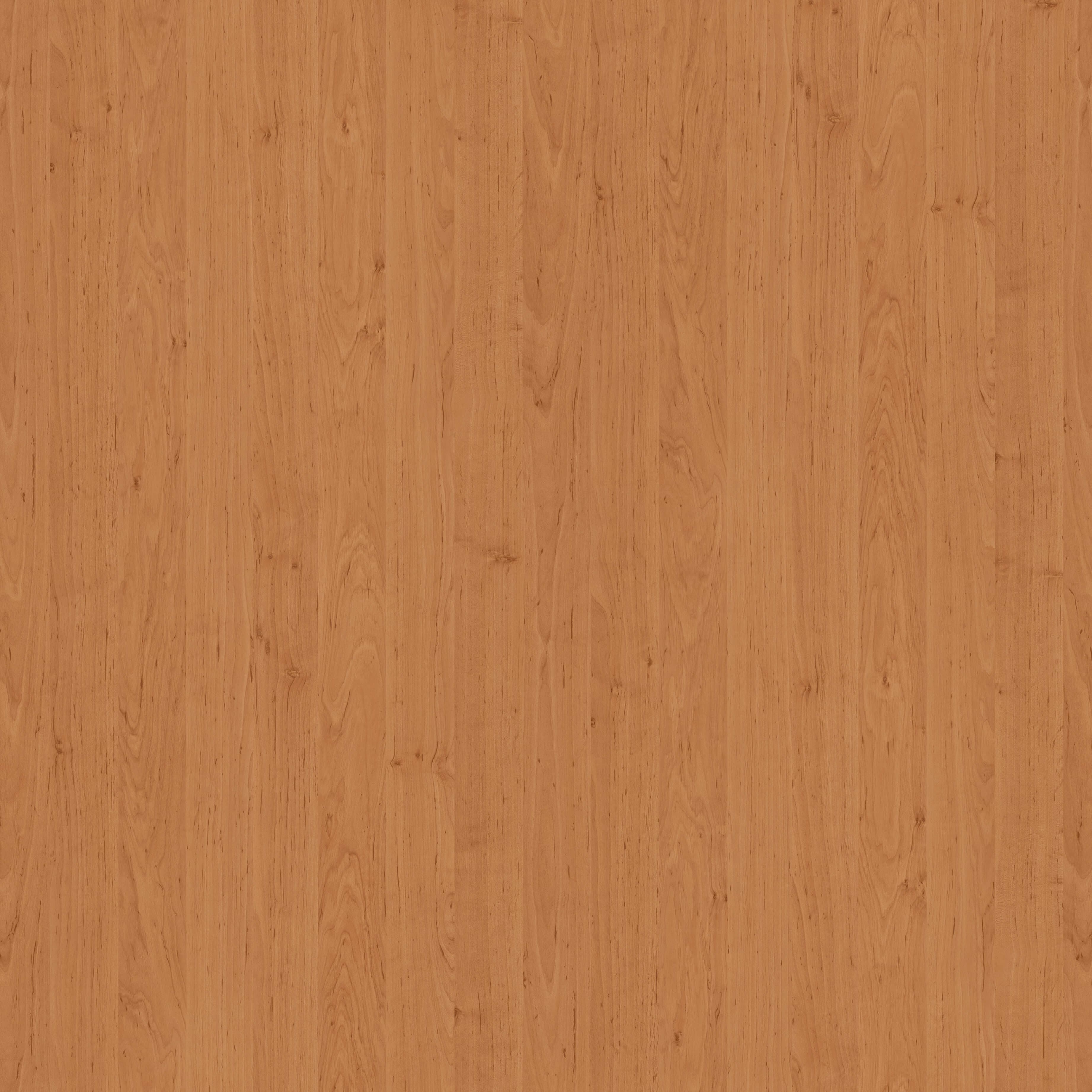 Pfleiderer - Kolekcja dodatkowa - R36008 - Olcha