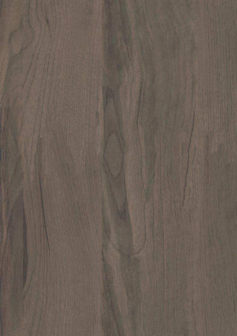 Pfleiderer - Kolekcja dodatkowa - R35014 - Brzoza Ojców Ciemna