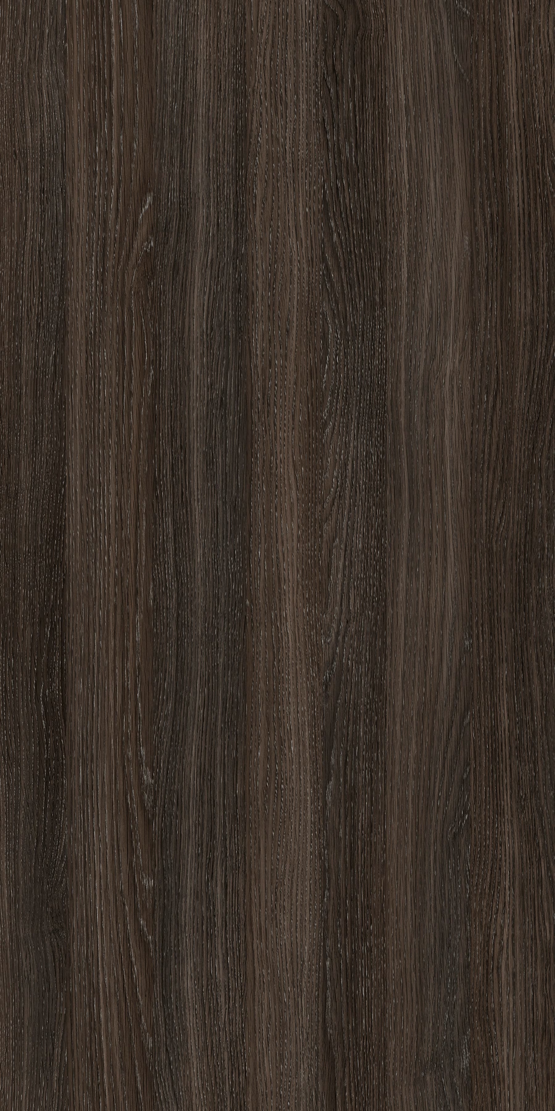 Pfleiderer - Kolekcja dodatkowa - R20065 - Dąb Grafit