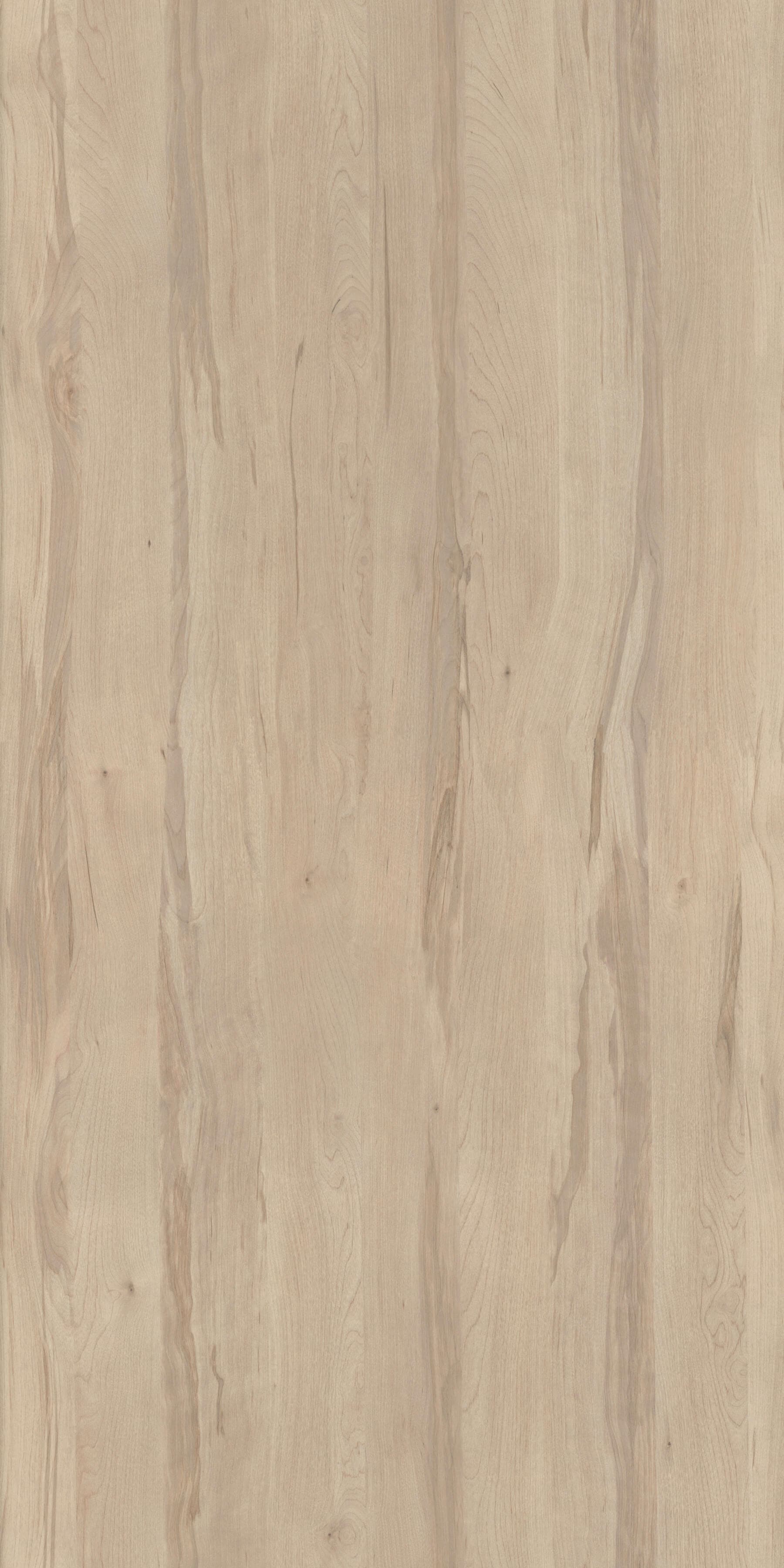 Pfleiderer - Kolekcja dodatkowa - R35013 - Brzoza Ojców