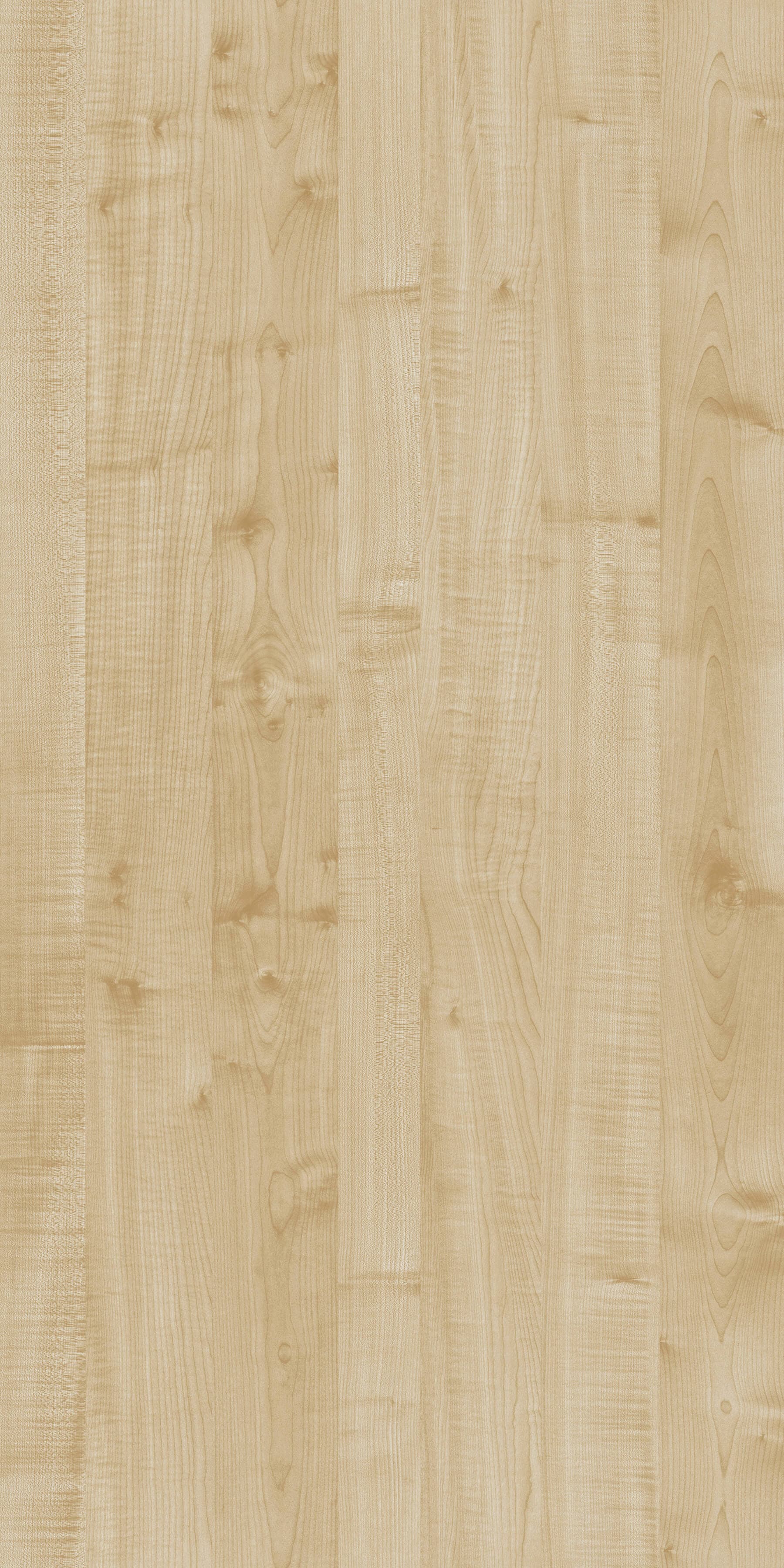 Pfleiderer - Kolekcja dodatkowa - R27039 - Klon Thansau