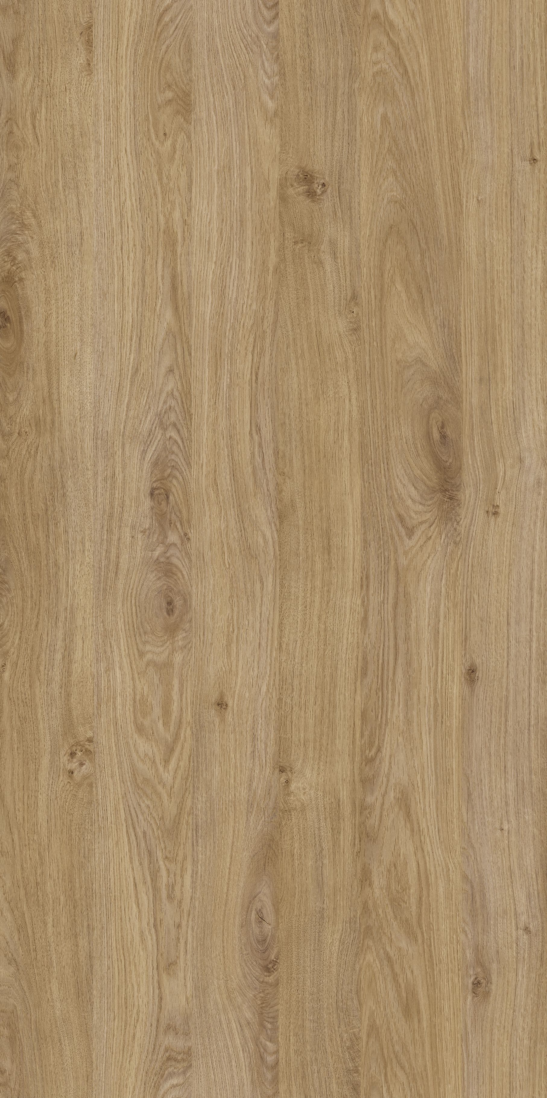 Pfleiderer - Kolekcja dodatkowa - R20246 - Dąb Shetland