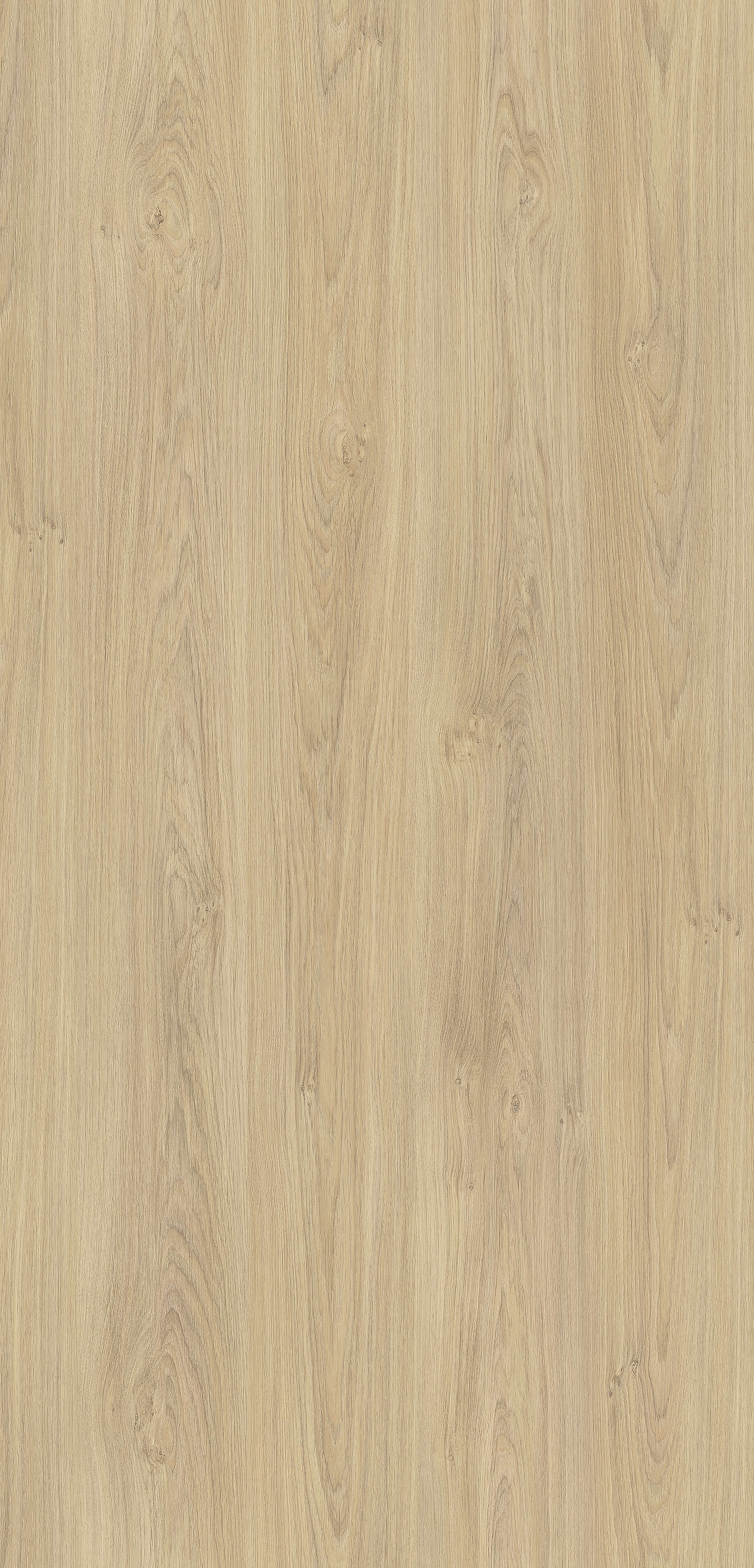 Pfleiderer - Kolekcja dodatkowa - R20326 - Dąb Puccini