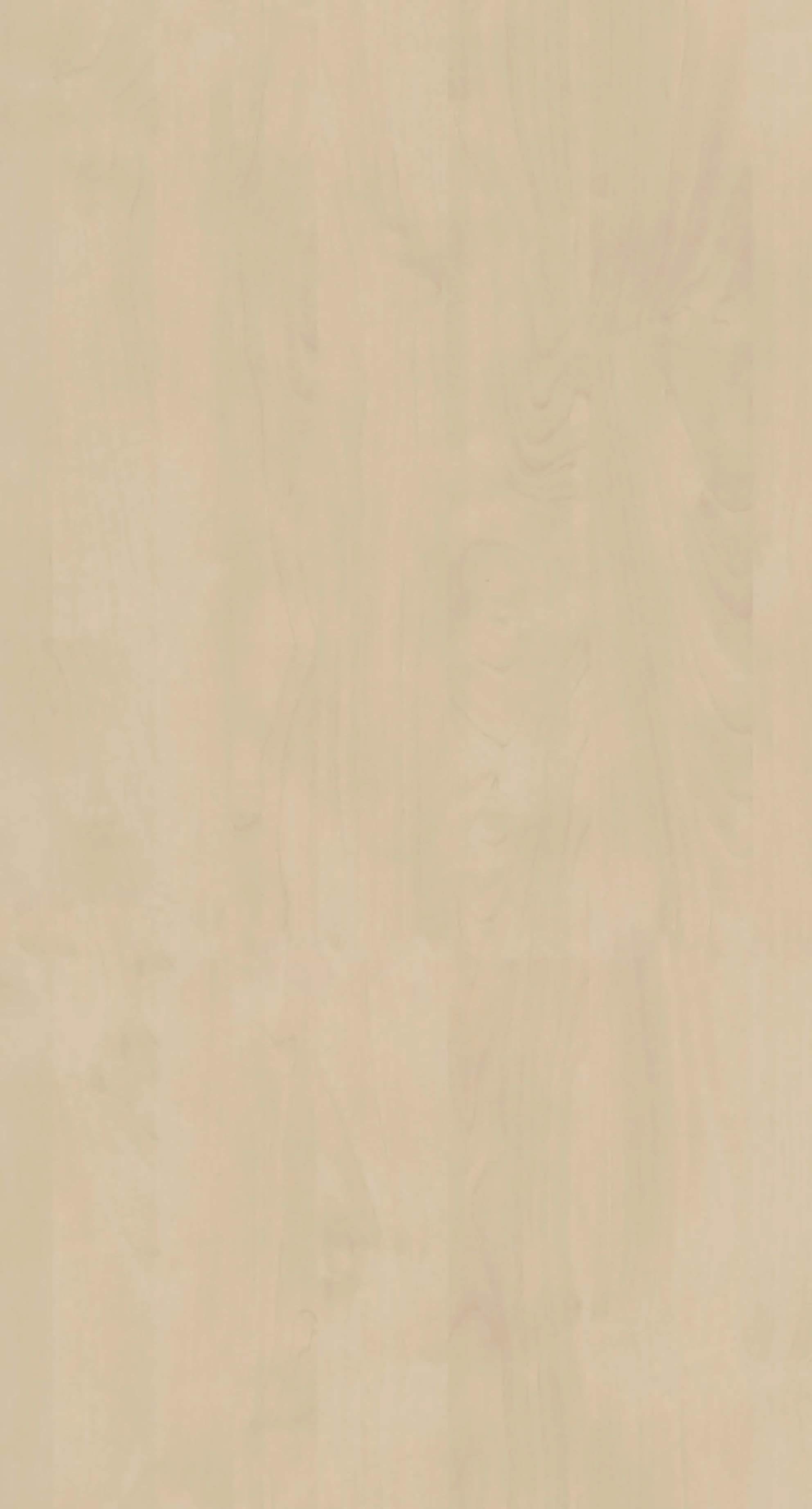 Pfleiderer - Kolekcja dodatkowa - R35008 - Brzoza Wisła