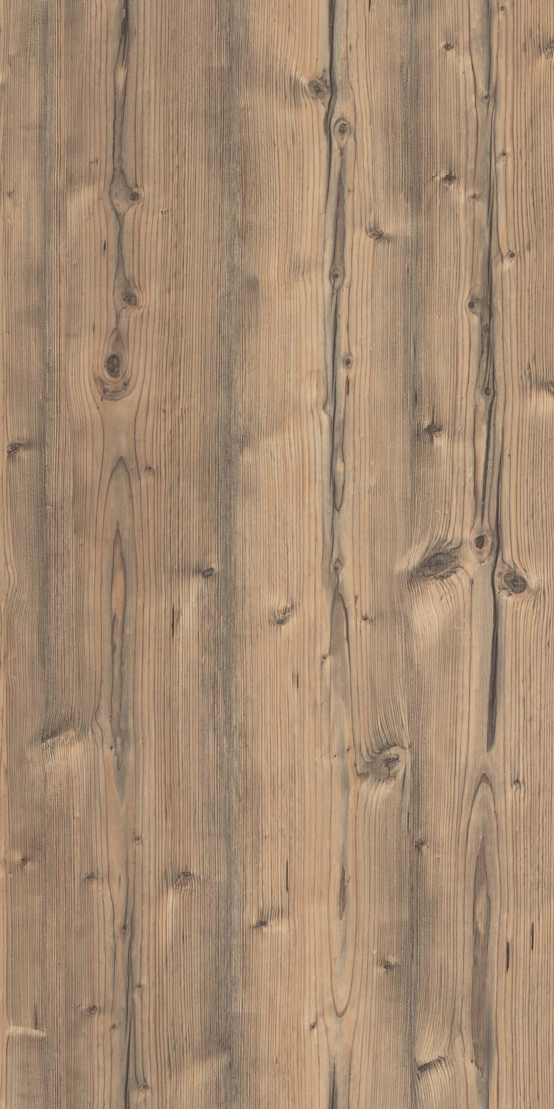 Pfleiderer - Kolekcja dodatkowa - R55008 - Świerk Alpejski