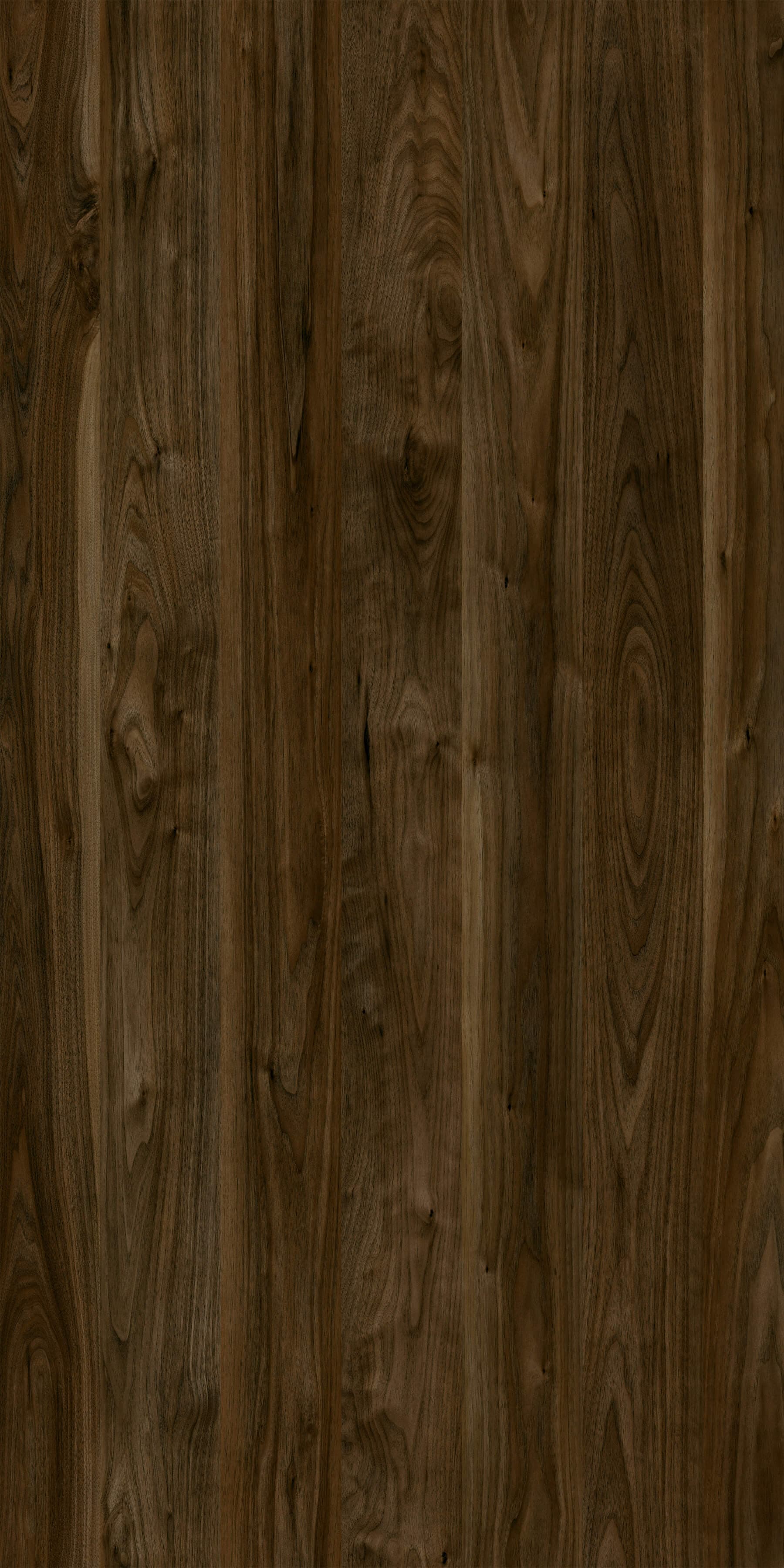 Pfleiderer - Kolekcja dodatkowa - R30042 - Orzech Saleve