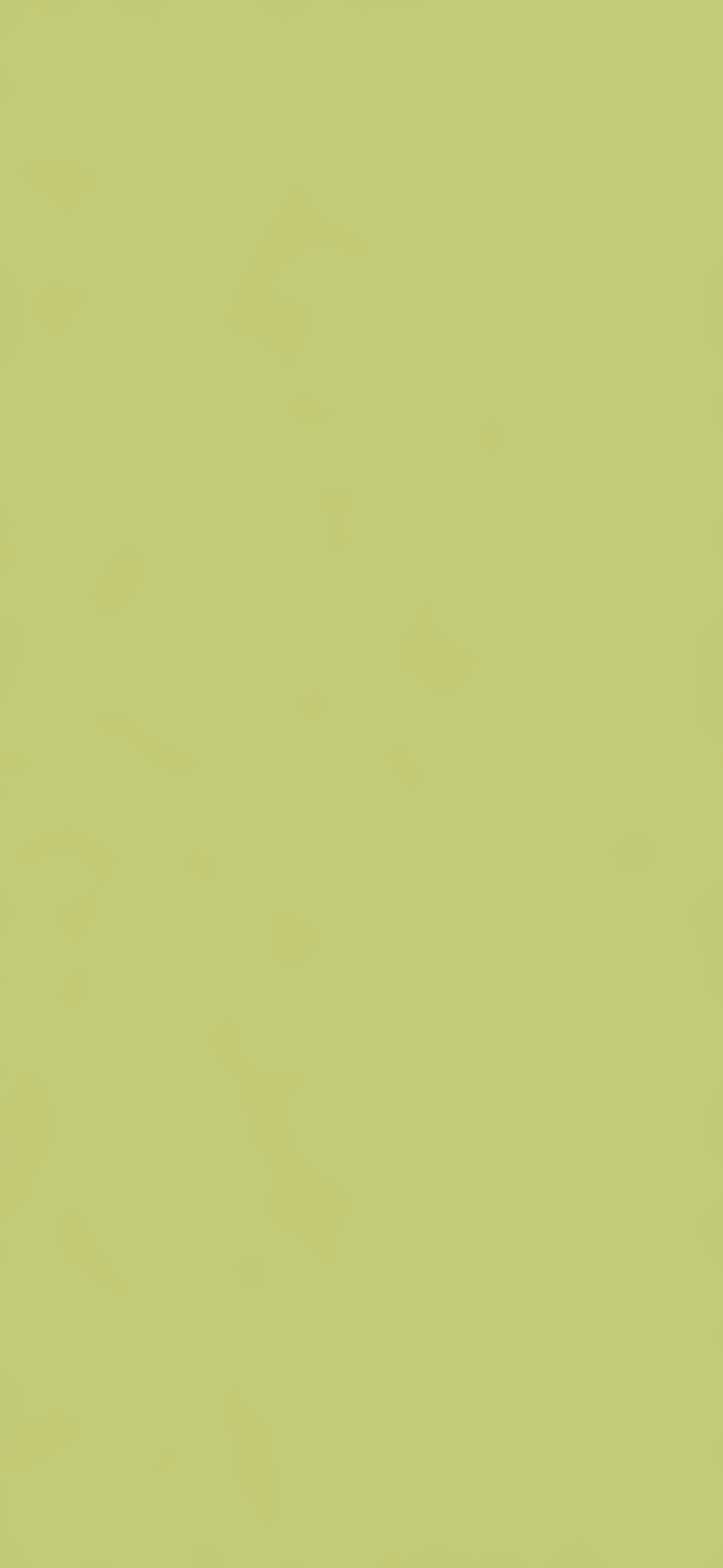 Pfleiderer - Kolekcja dodatkowa - U19500 - Carambola