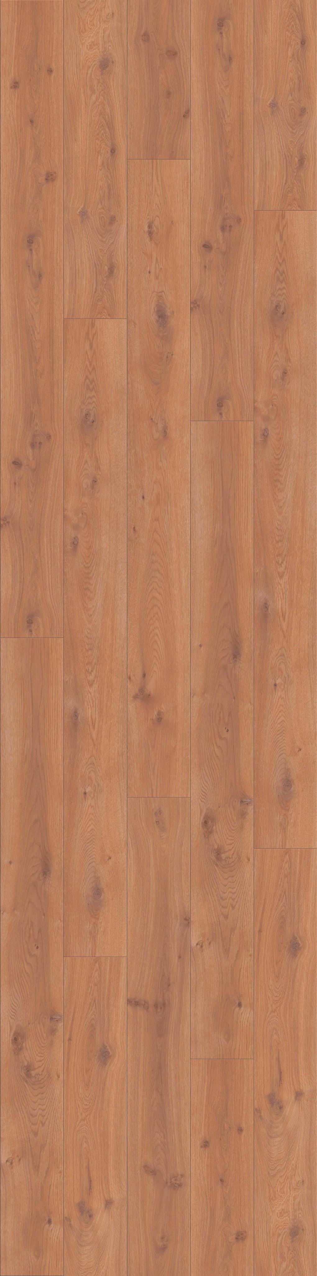 DĄB EUROPEJSKI, DESKA (L0223-01756) 4100mm  x 1025mm