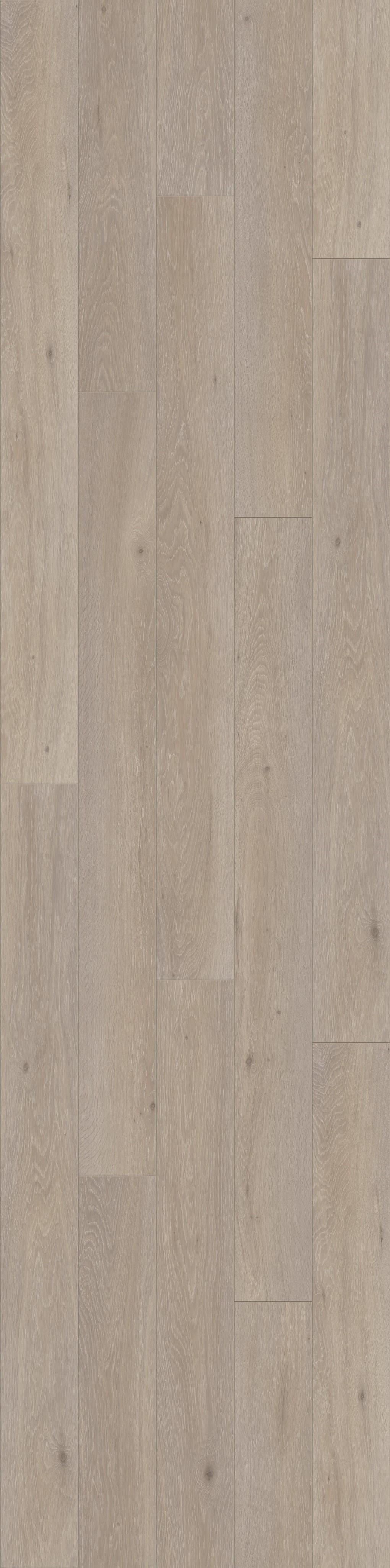 DĄB ROMANTYCZNY, DESKA (L0123-03361) 2400mm x 450mm